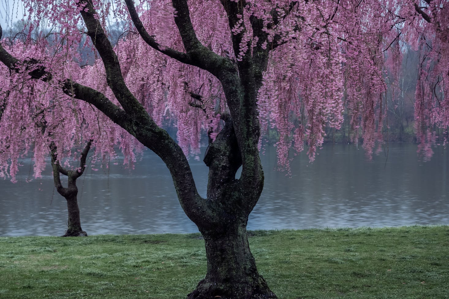 Park in Philadelphia