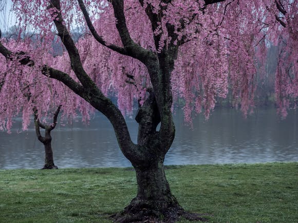 Park in Philadelphia