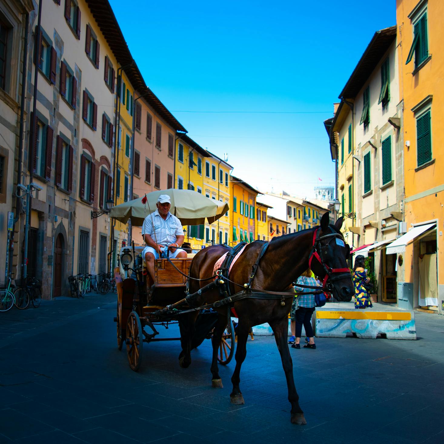 Horse-drawn carriage in Pisa, Italy