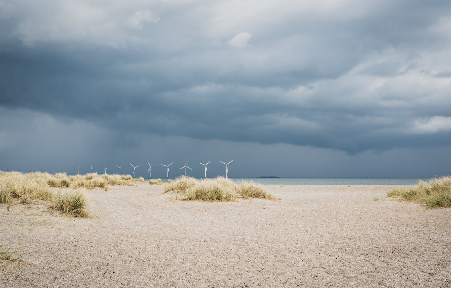 Amager Beach Park