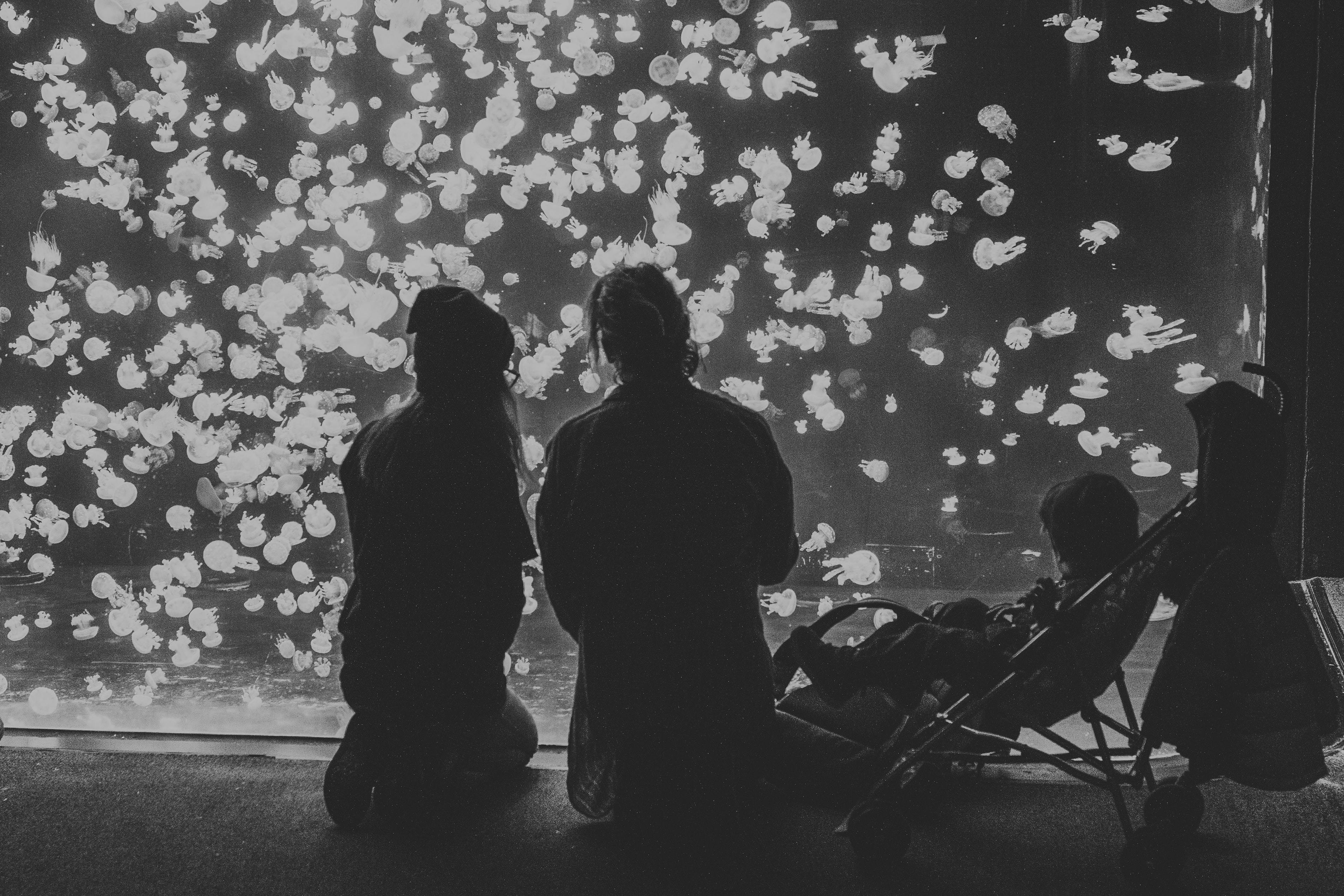 Vancouver Aquarium