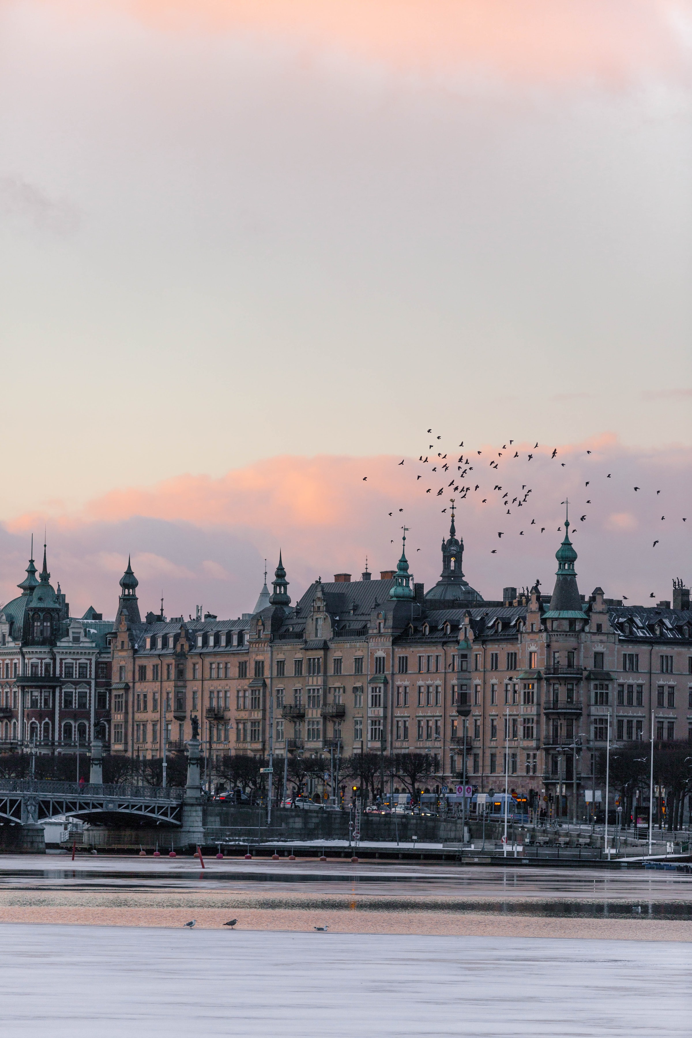 Is Stockholm Safe To Visit A Comprehensive Safety Guide Bounce   Cb95a8b9 58e8 4d3e 9ee7 1690d50e71f4 Marten Bjork Zr ZkaQd7f4 Unsplash 