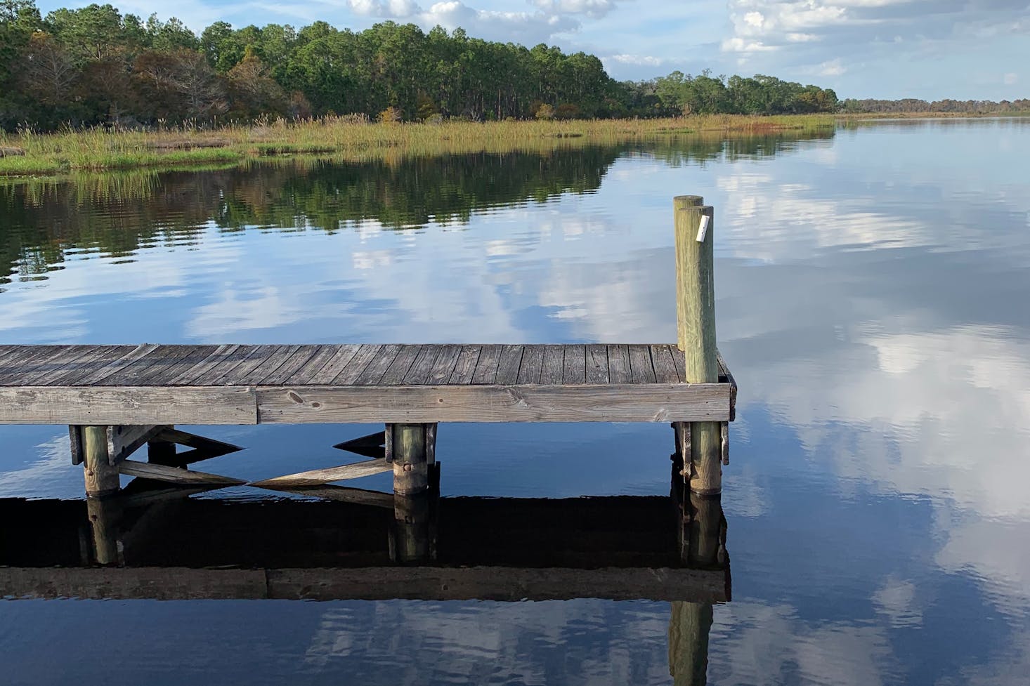 Lake near Orlando