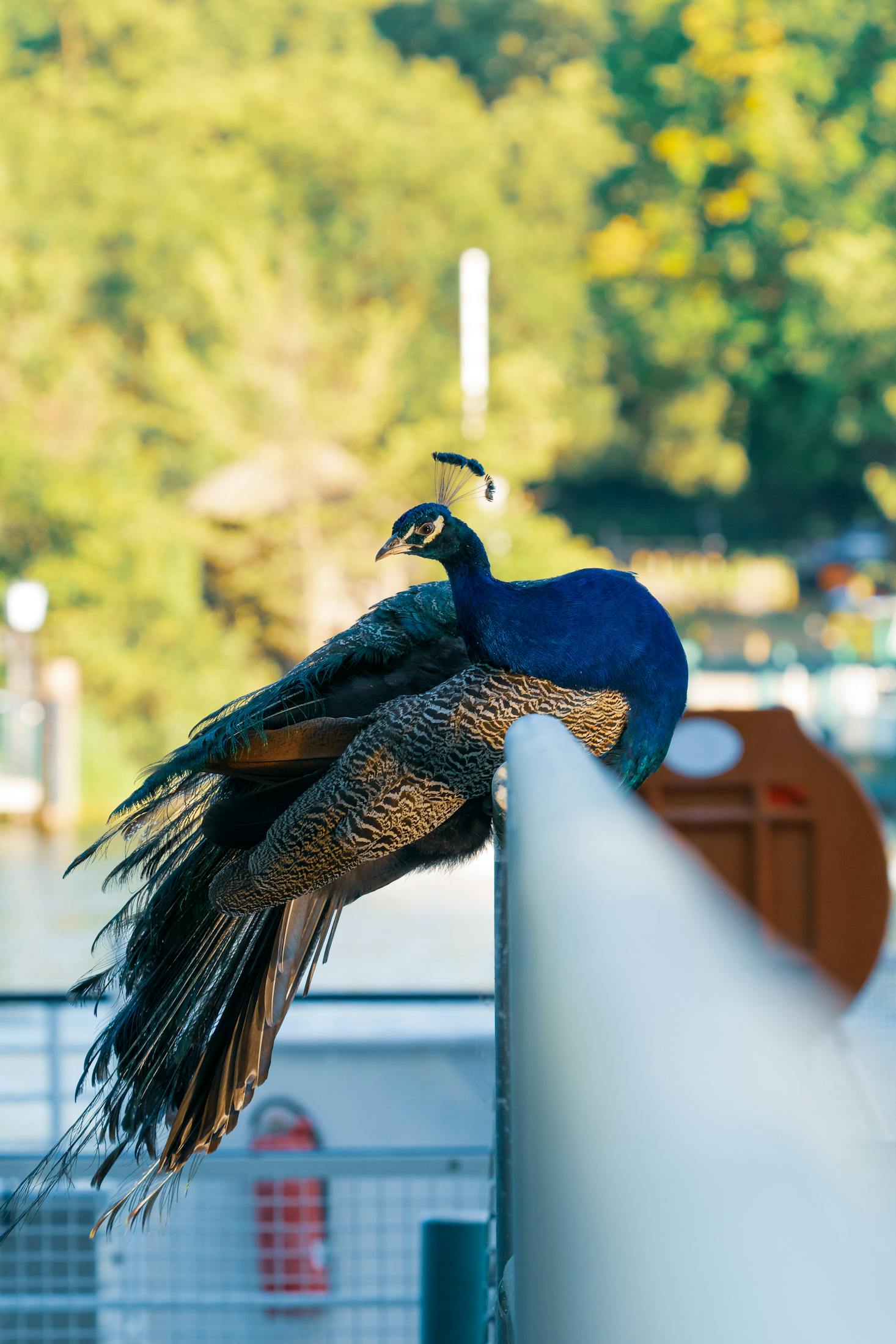 Weekend trips to Peacock Island from Berlin