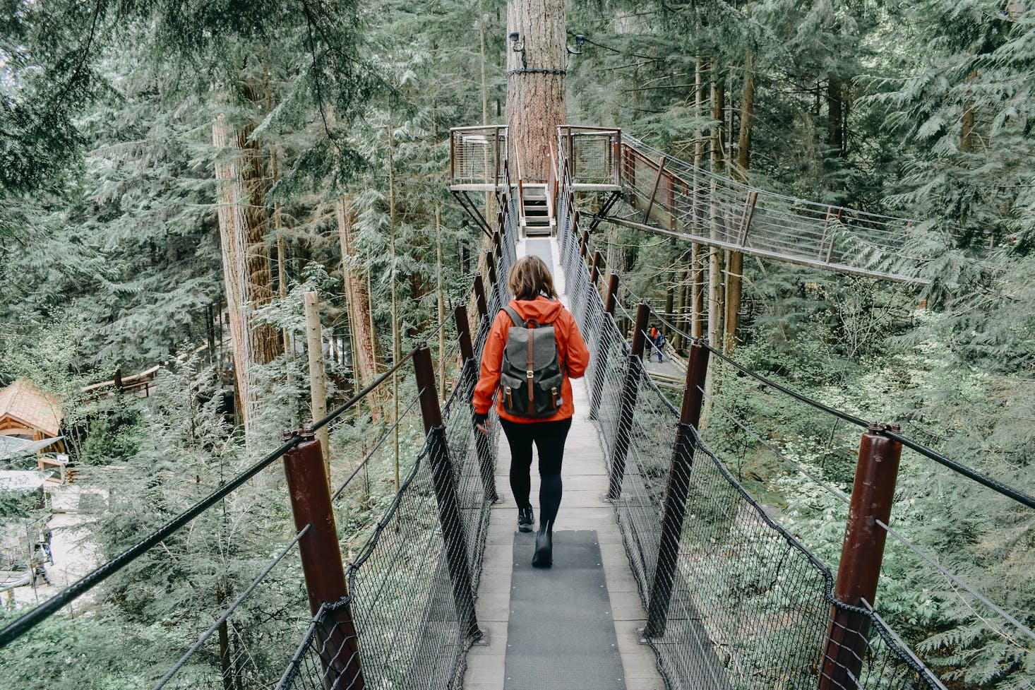 Walking through the trees in Vancouver, BC