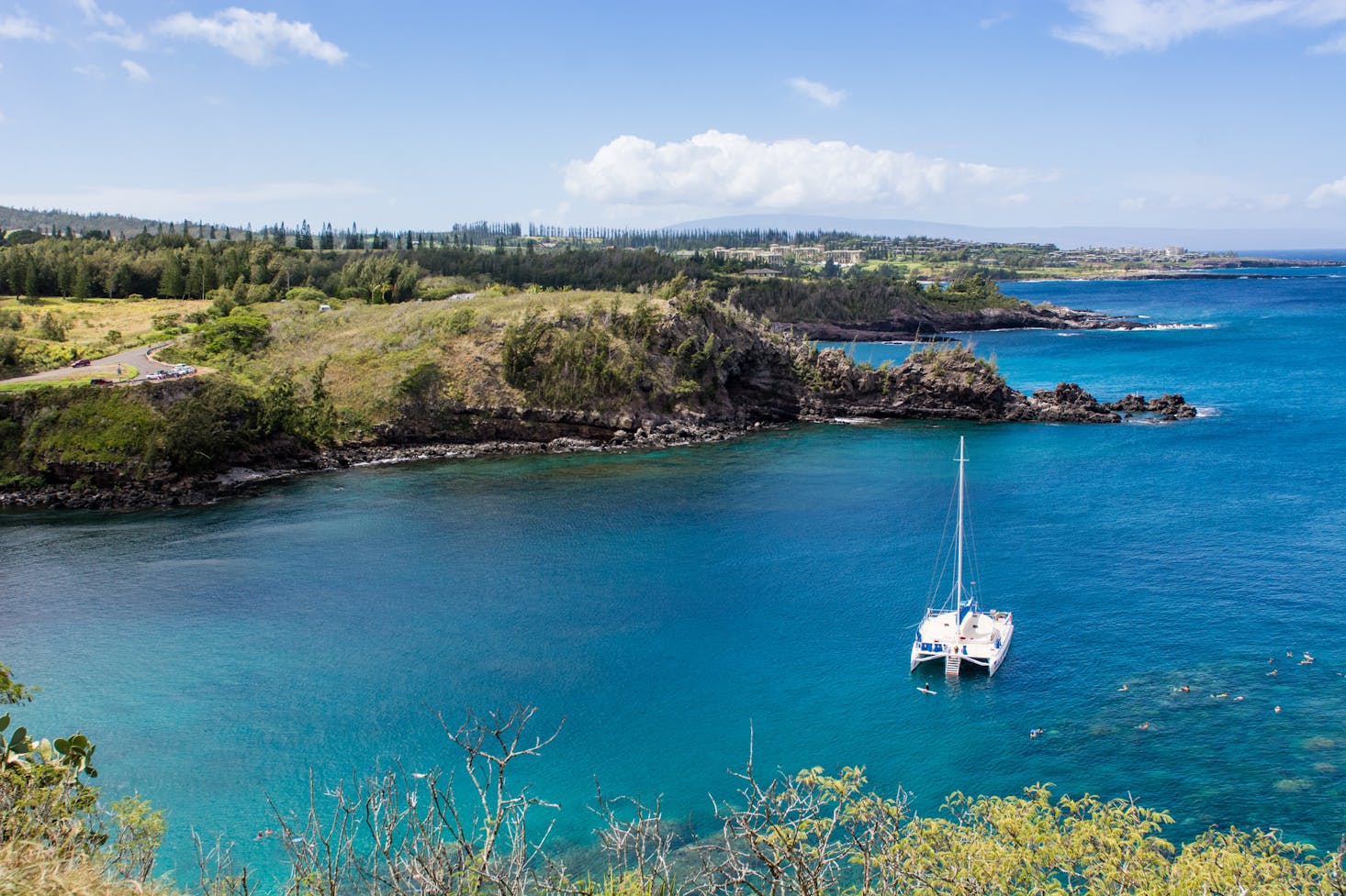 sailboat in harbor