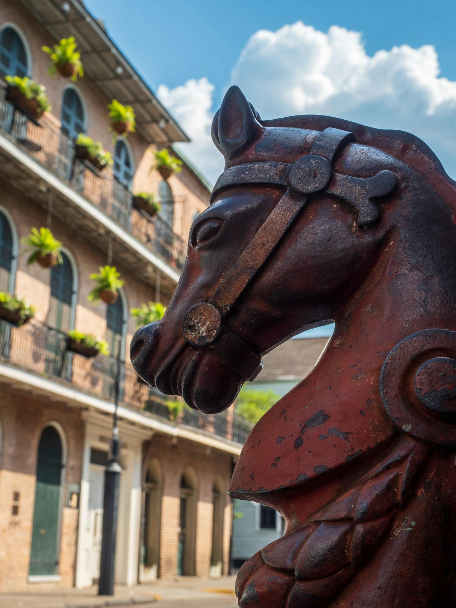 A brown horse statue in a square in NOLA's French Quarter