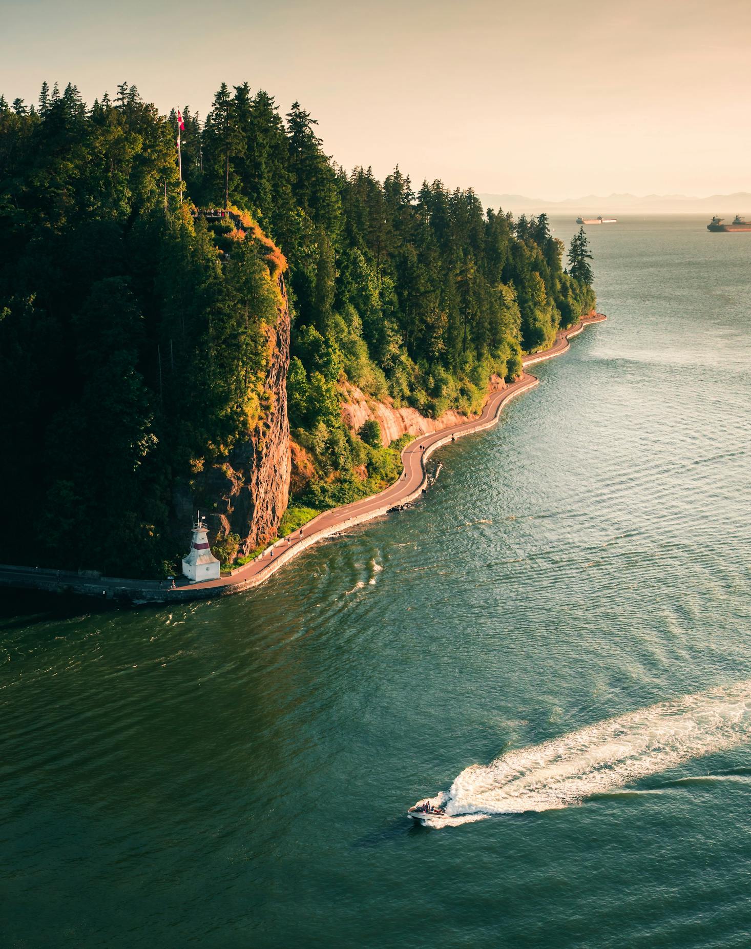 aerial view of shoreline with trees