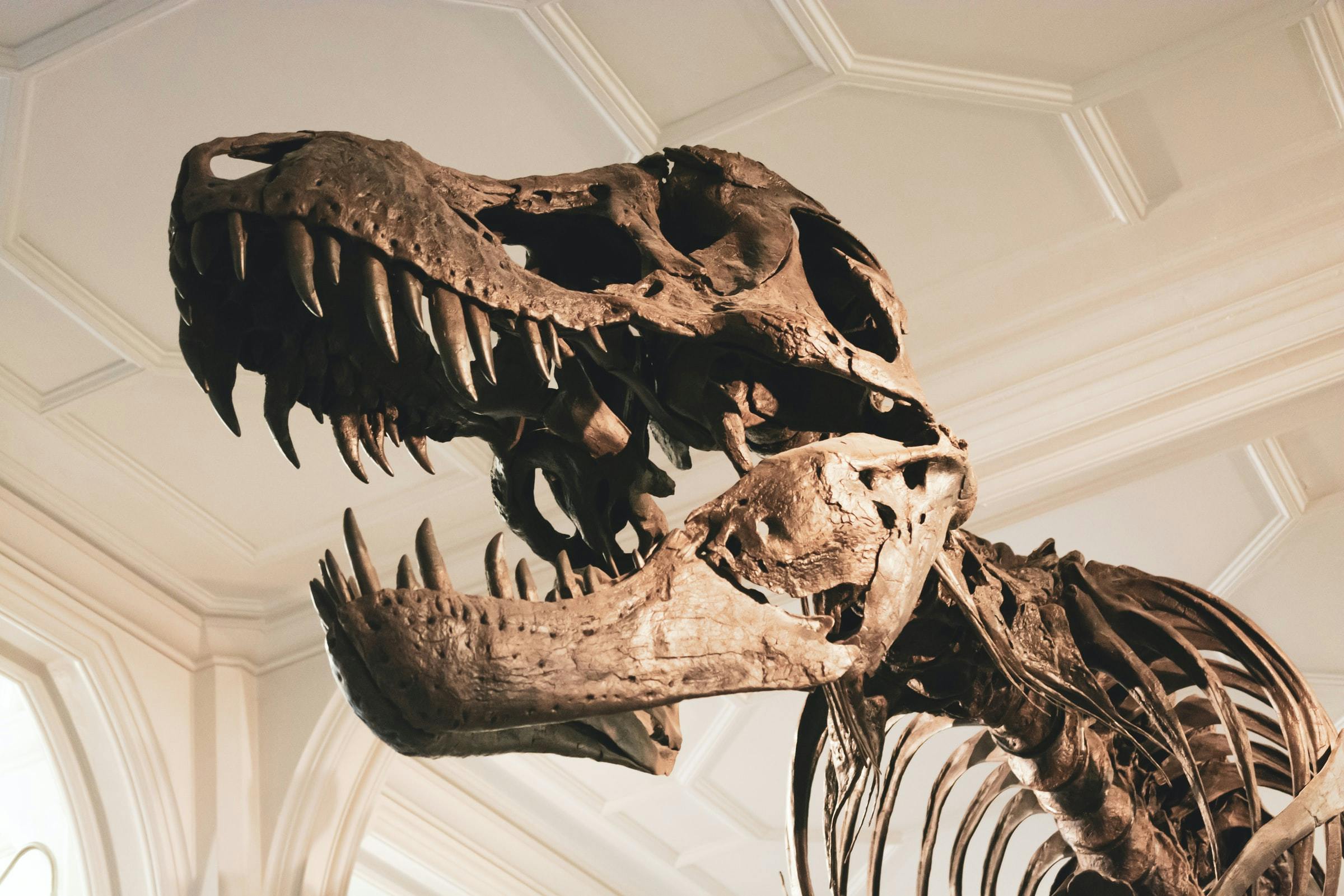 article subject image