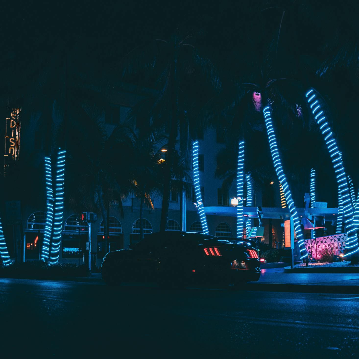 Miami at night