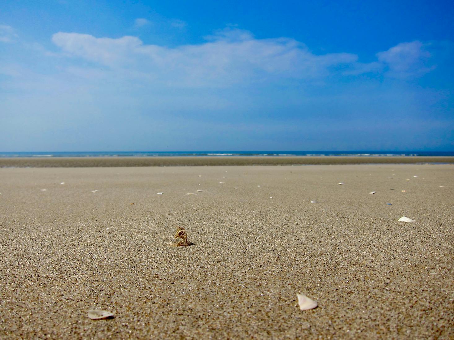 Le Touquet Beach near Paris