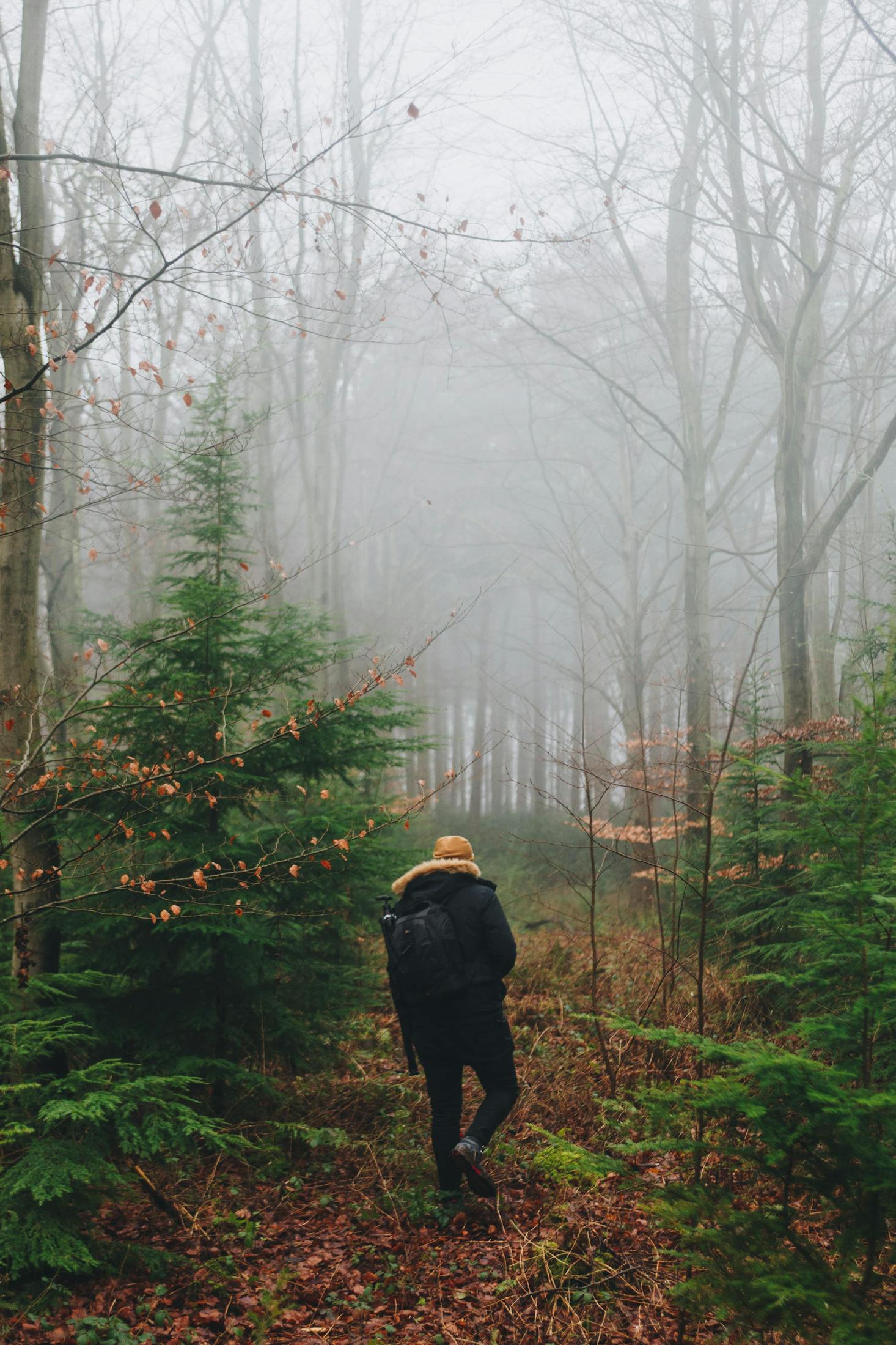 Foggy hike in York