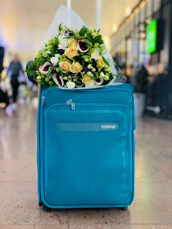 Flowers at Brussels Airport, Belgium