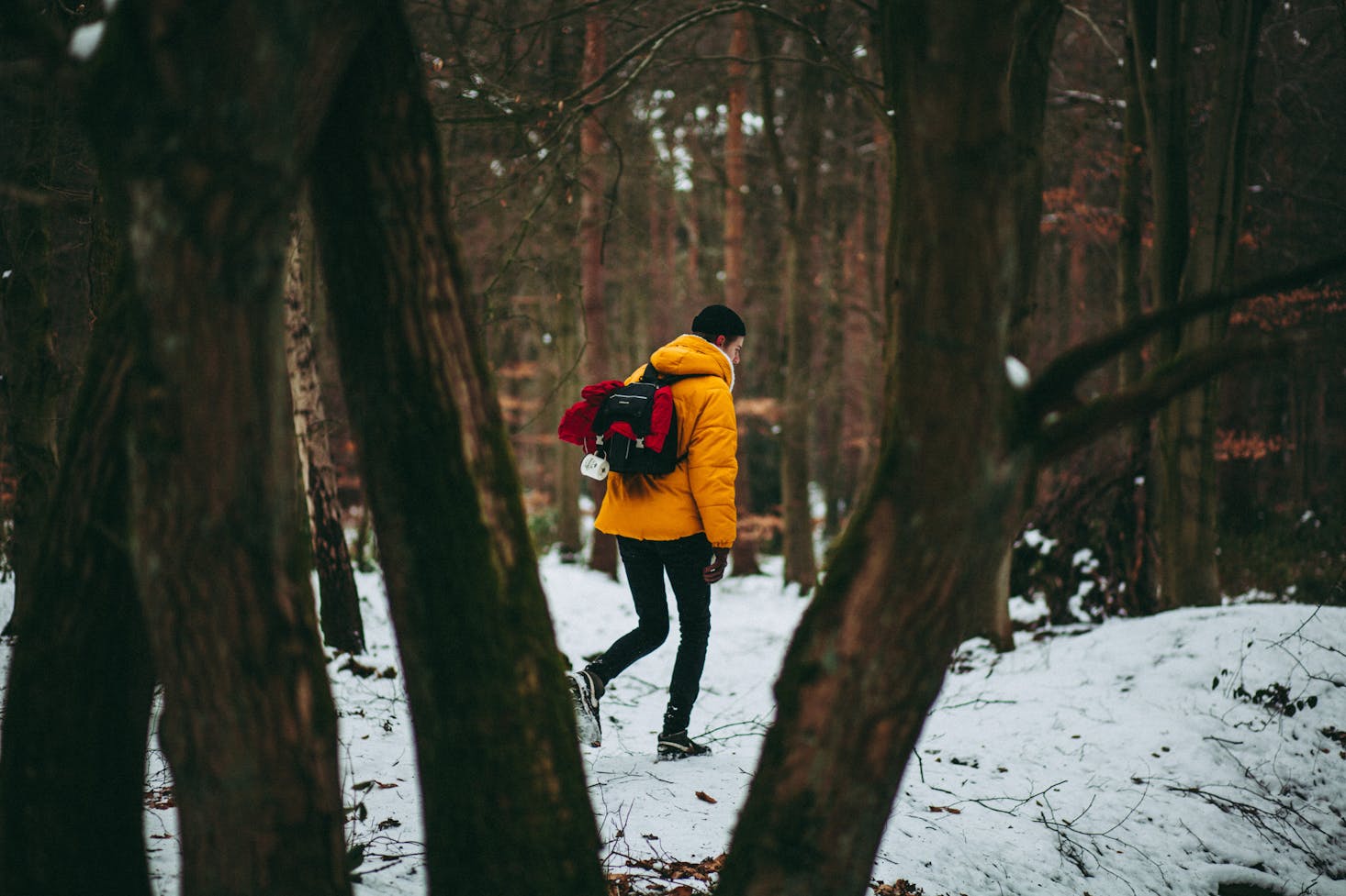 Winter Hiking in York