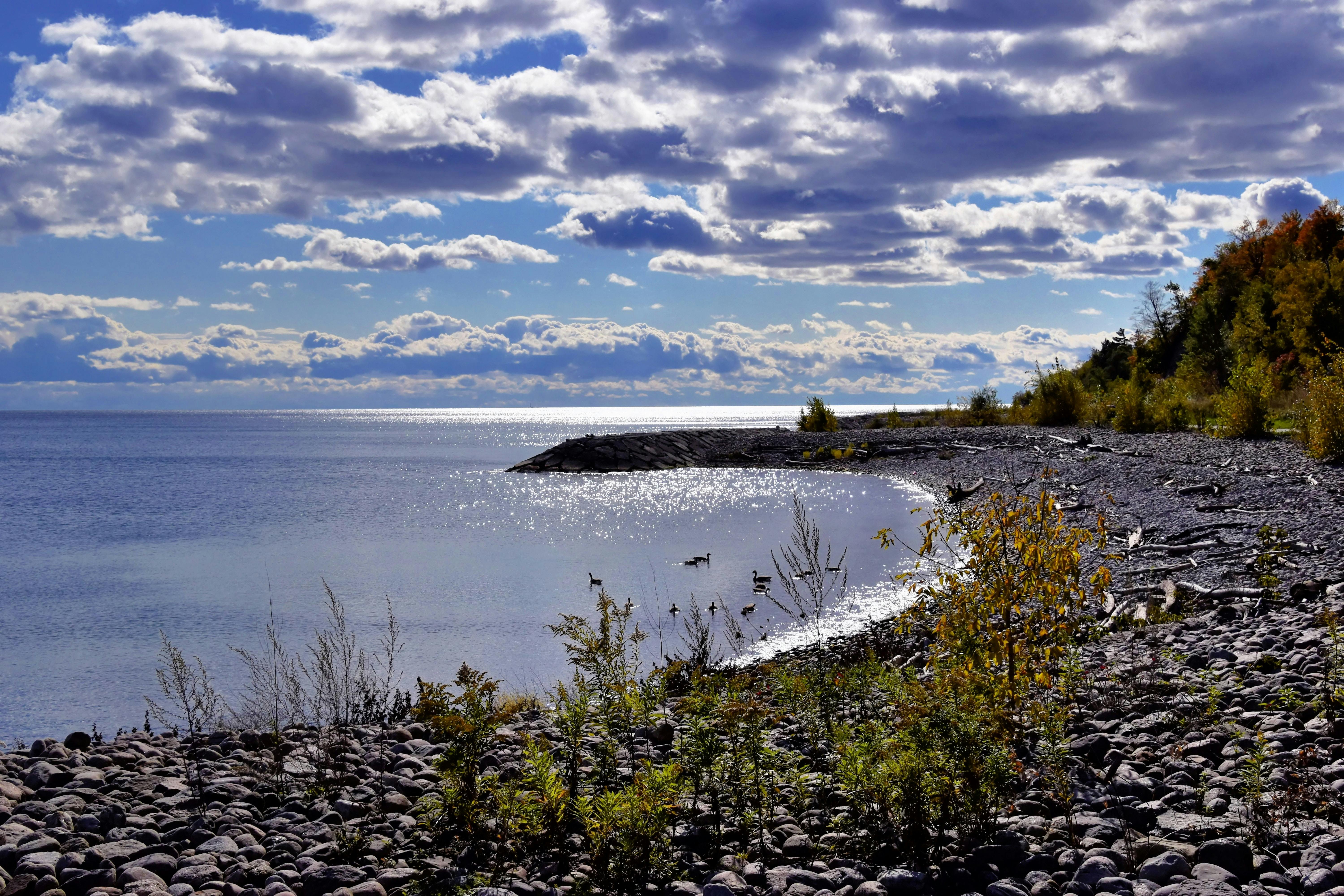 Rouge Beach in Toronto