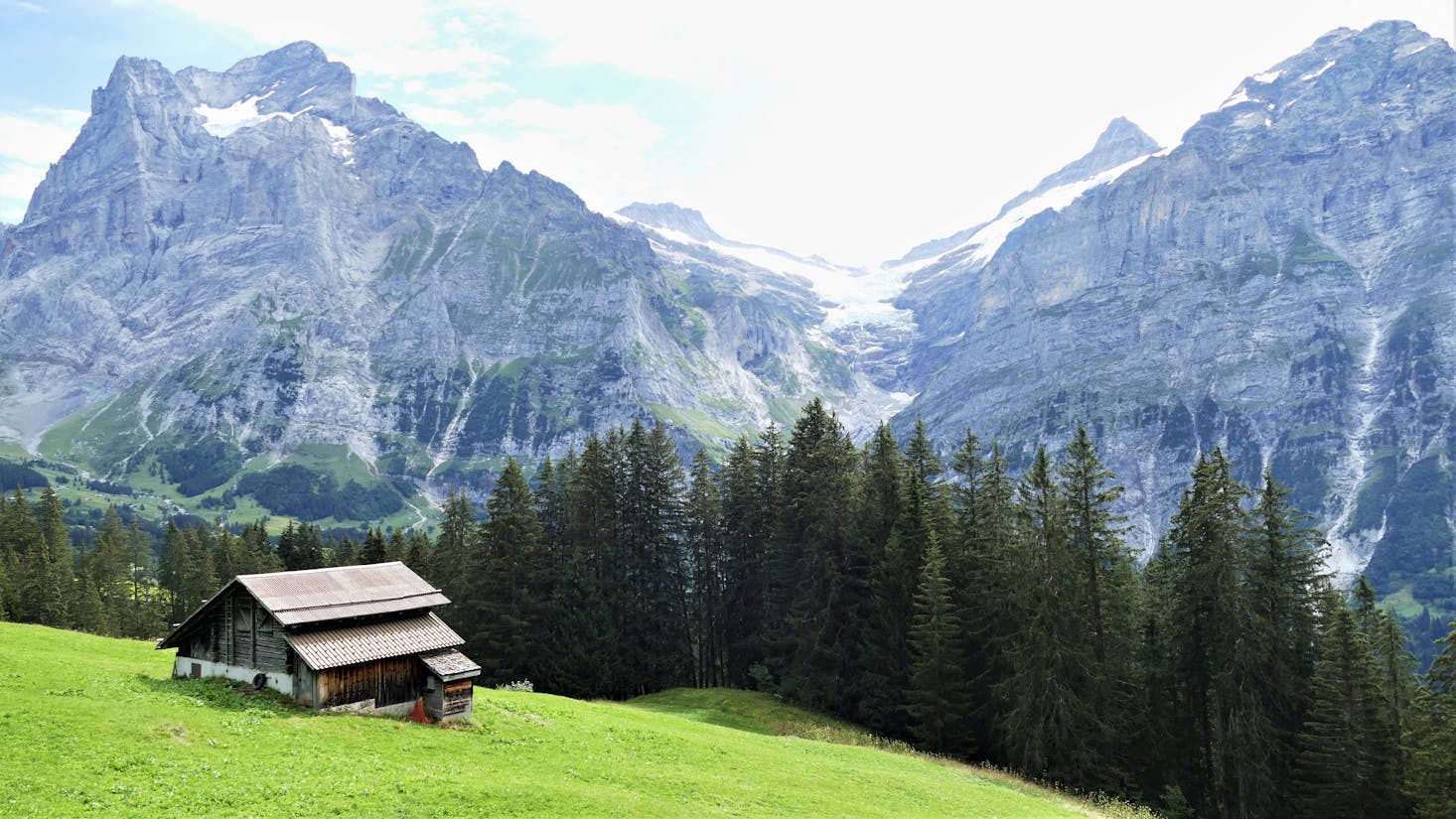 Green field and snow-capped mountains in Grindelwald, Switzerland