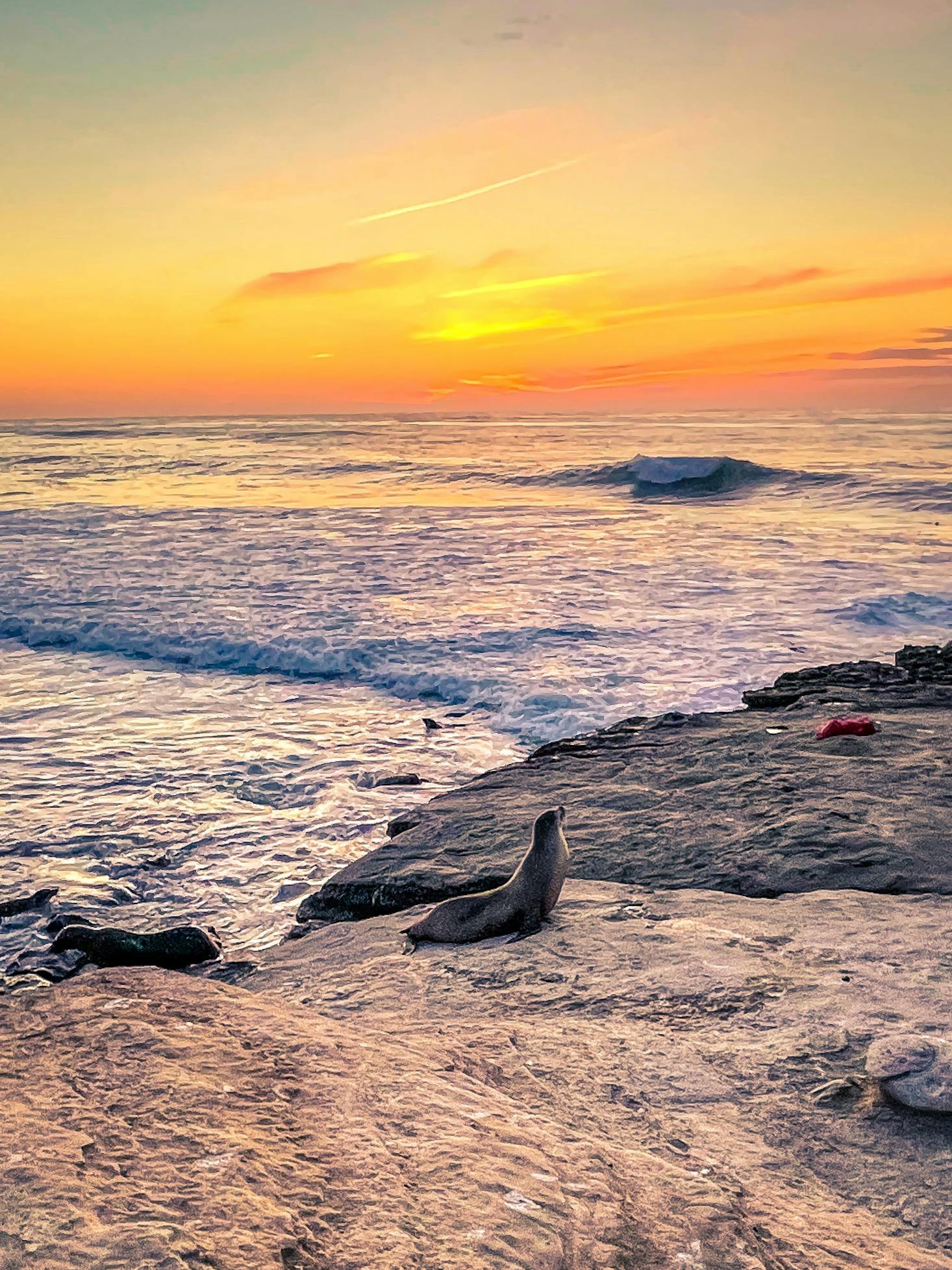 La Jolla Cove