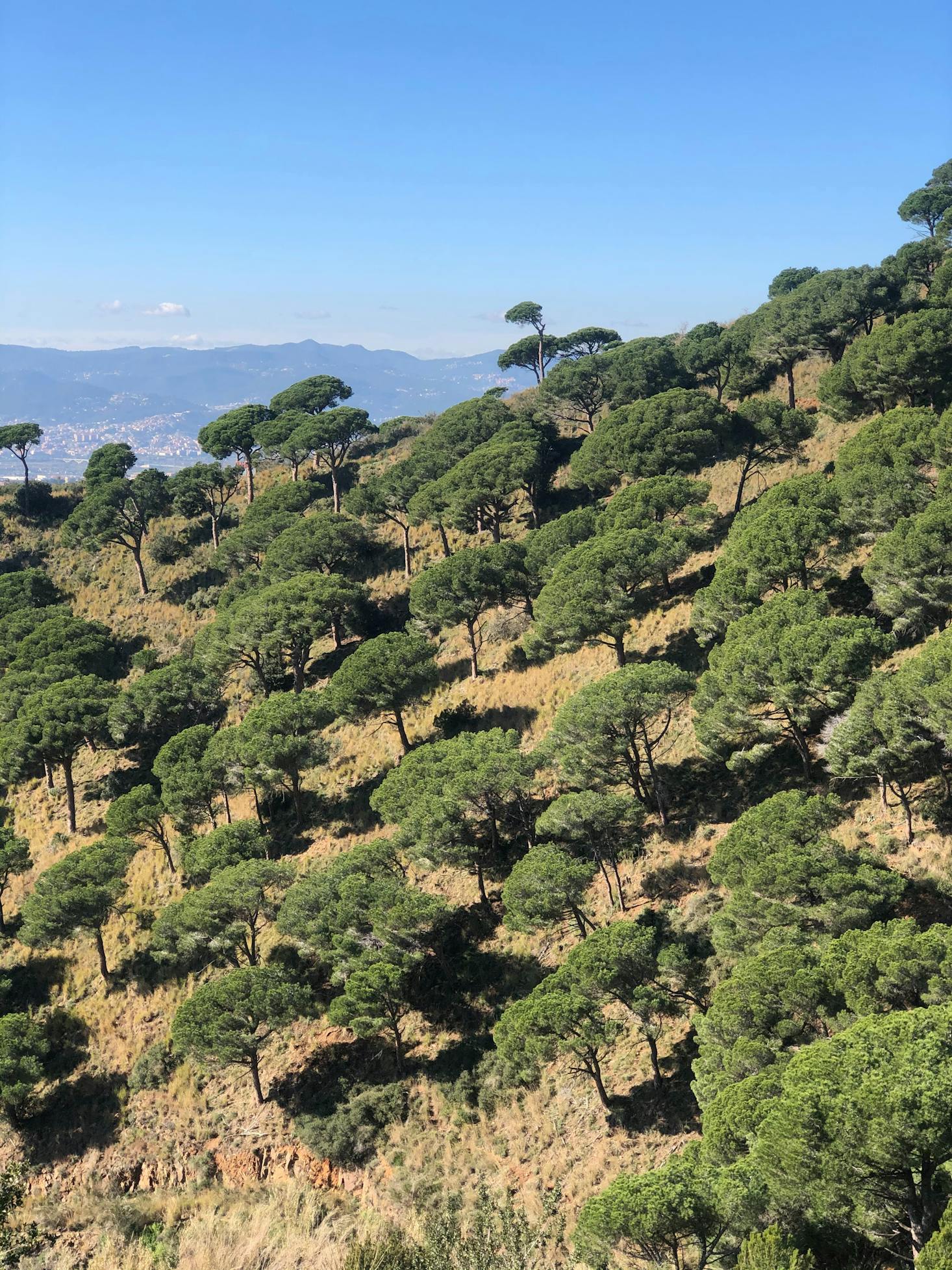 Mountains near Barcelona