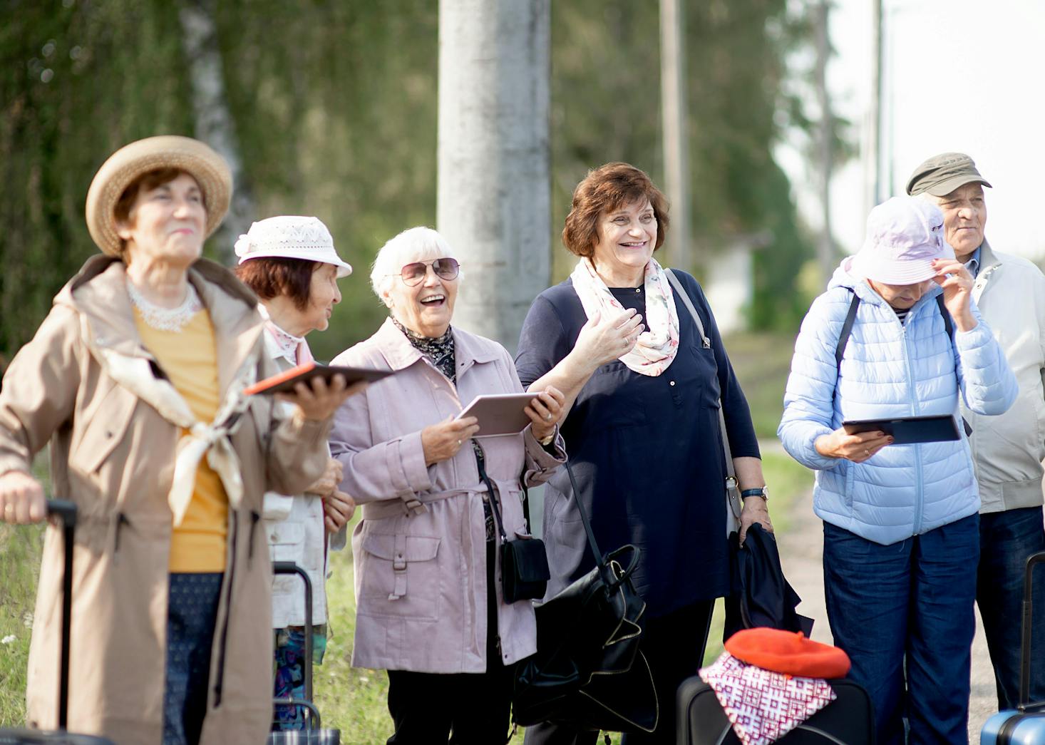 Zelma Brezinska // Shutterstock Zelma Brezinska // Shutterstock
