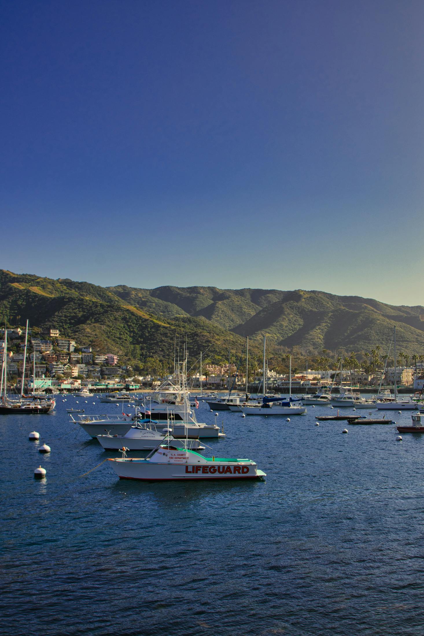 Boats in the blue water off the coast of Catalina Island