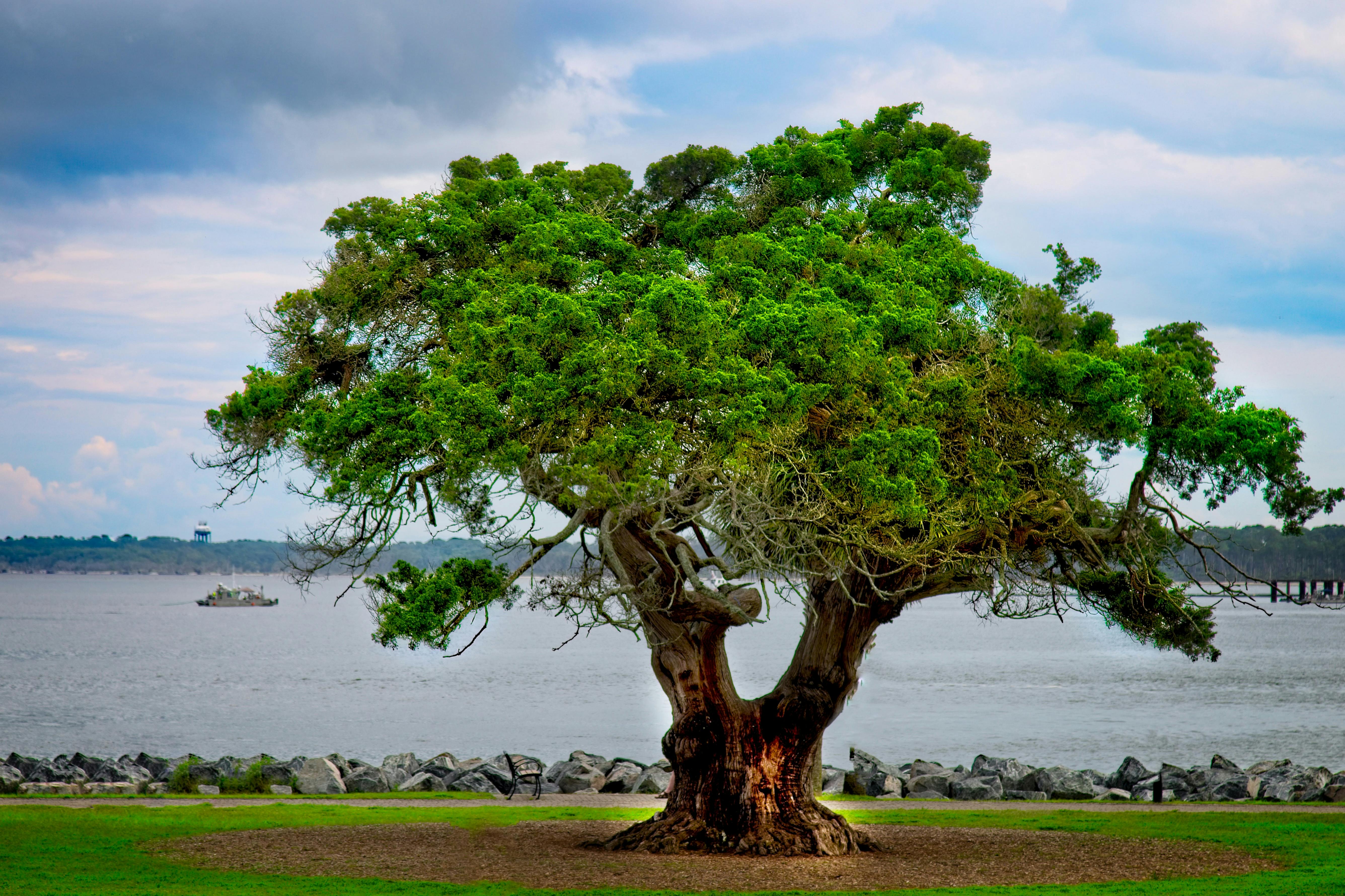 St. Simons Island beach getaway