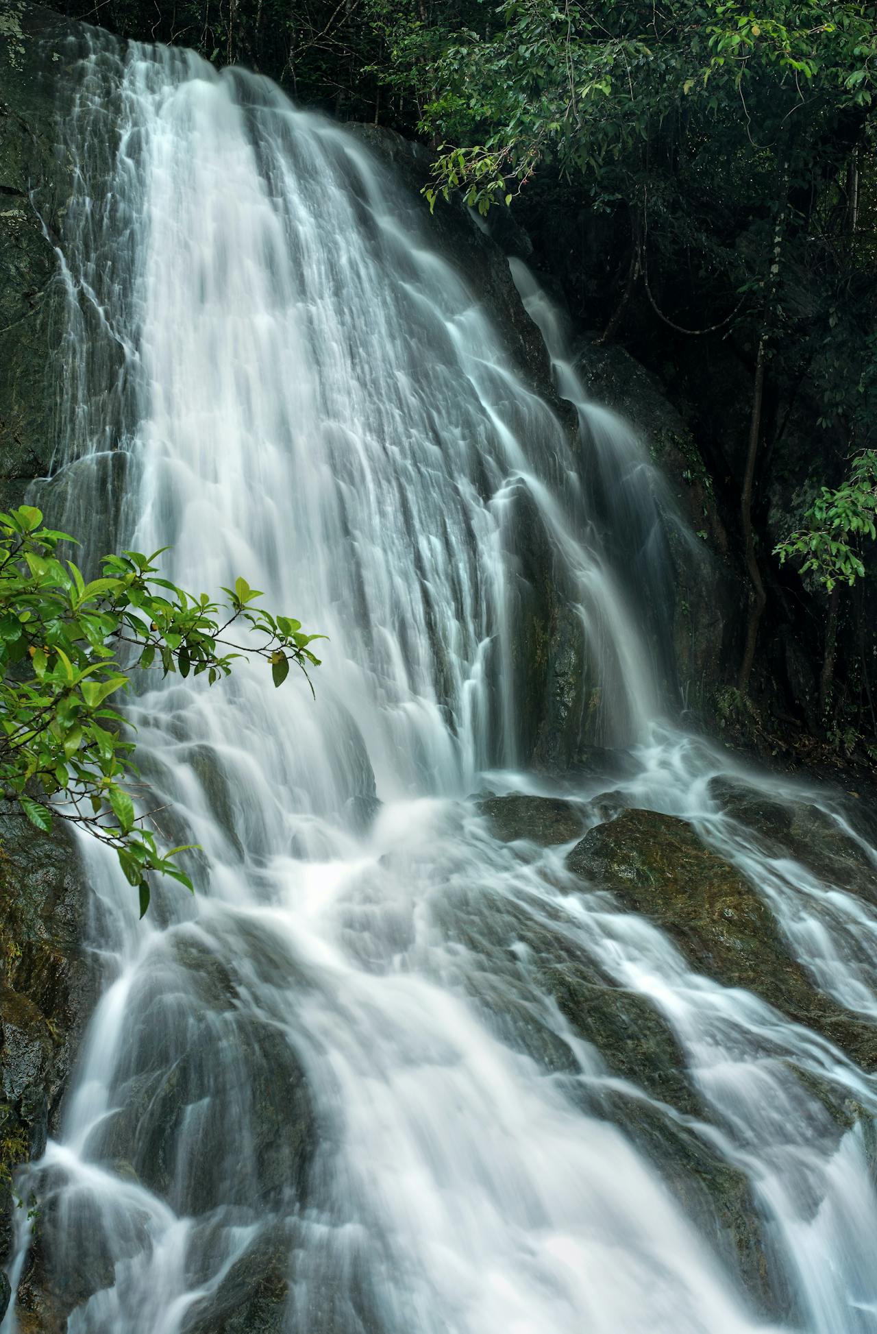 A big waterfall cascades over rocks in Cairns, Queensland A big waterfall cascades over rocks in Cairns, Queensland