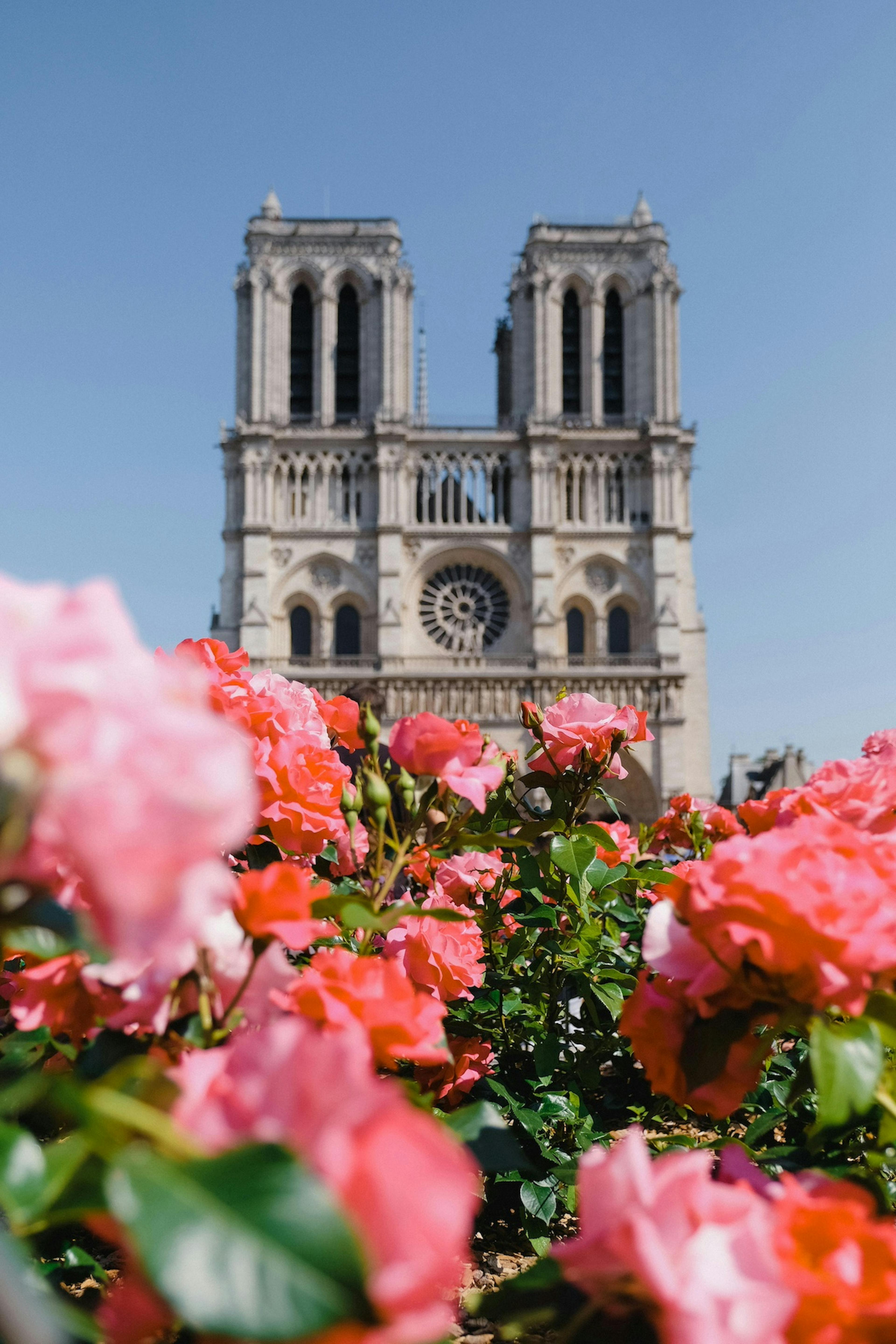 notre dame paris - Notre Dame Attraction
