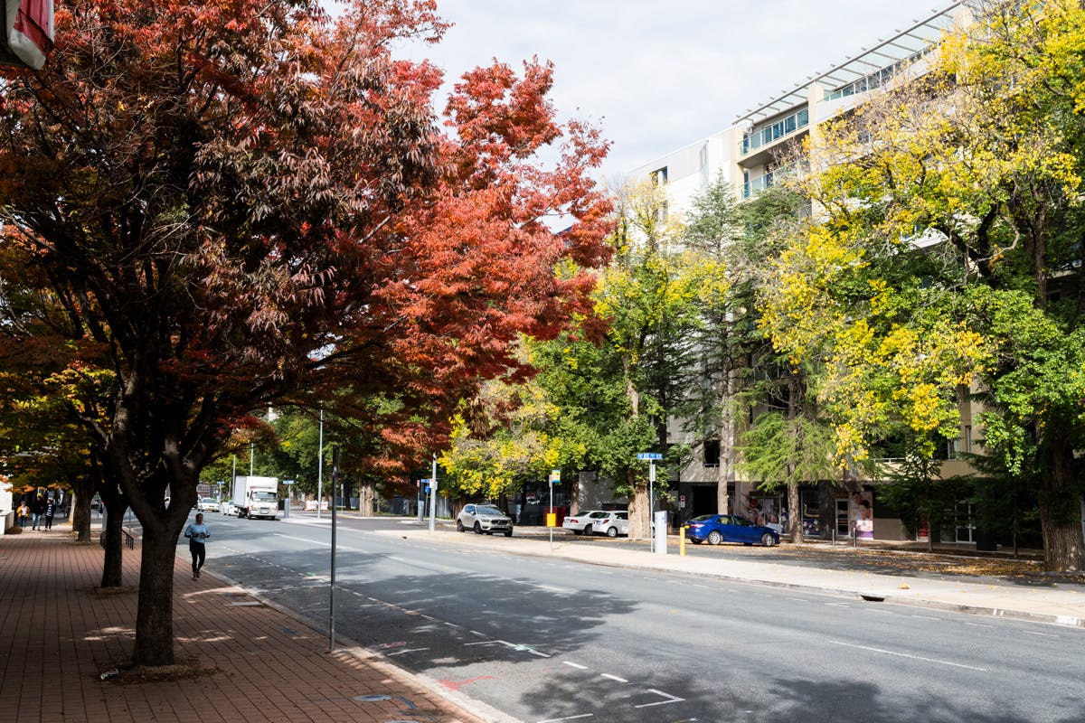 Highly-walkable ground plane