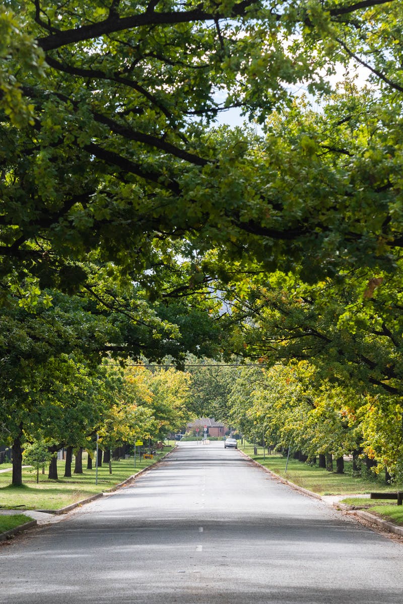 Braddon is Canberra’s most populous suburb (2016 Census)