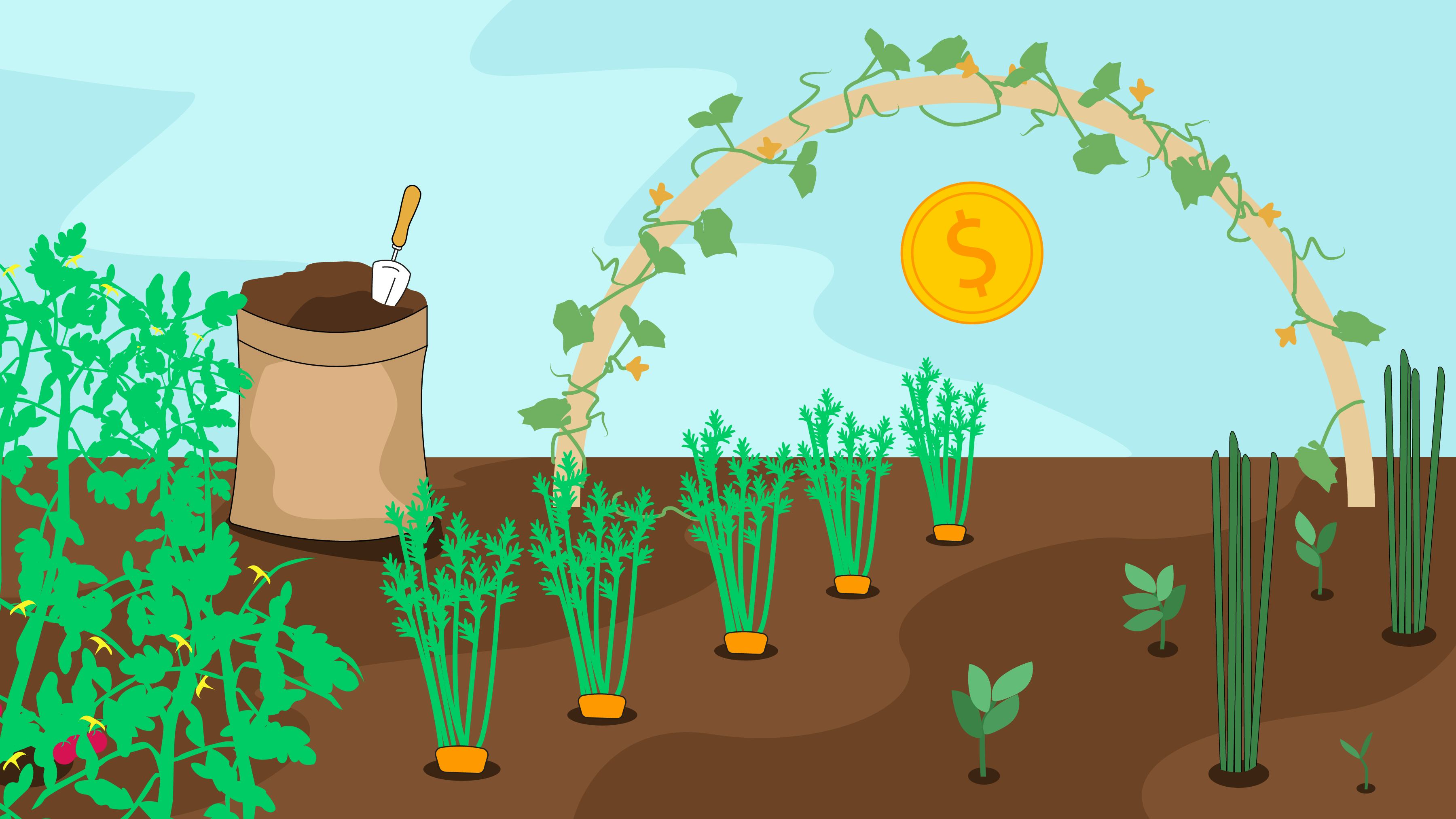Grow Your Community Garden Funds with Braid Money Pools