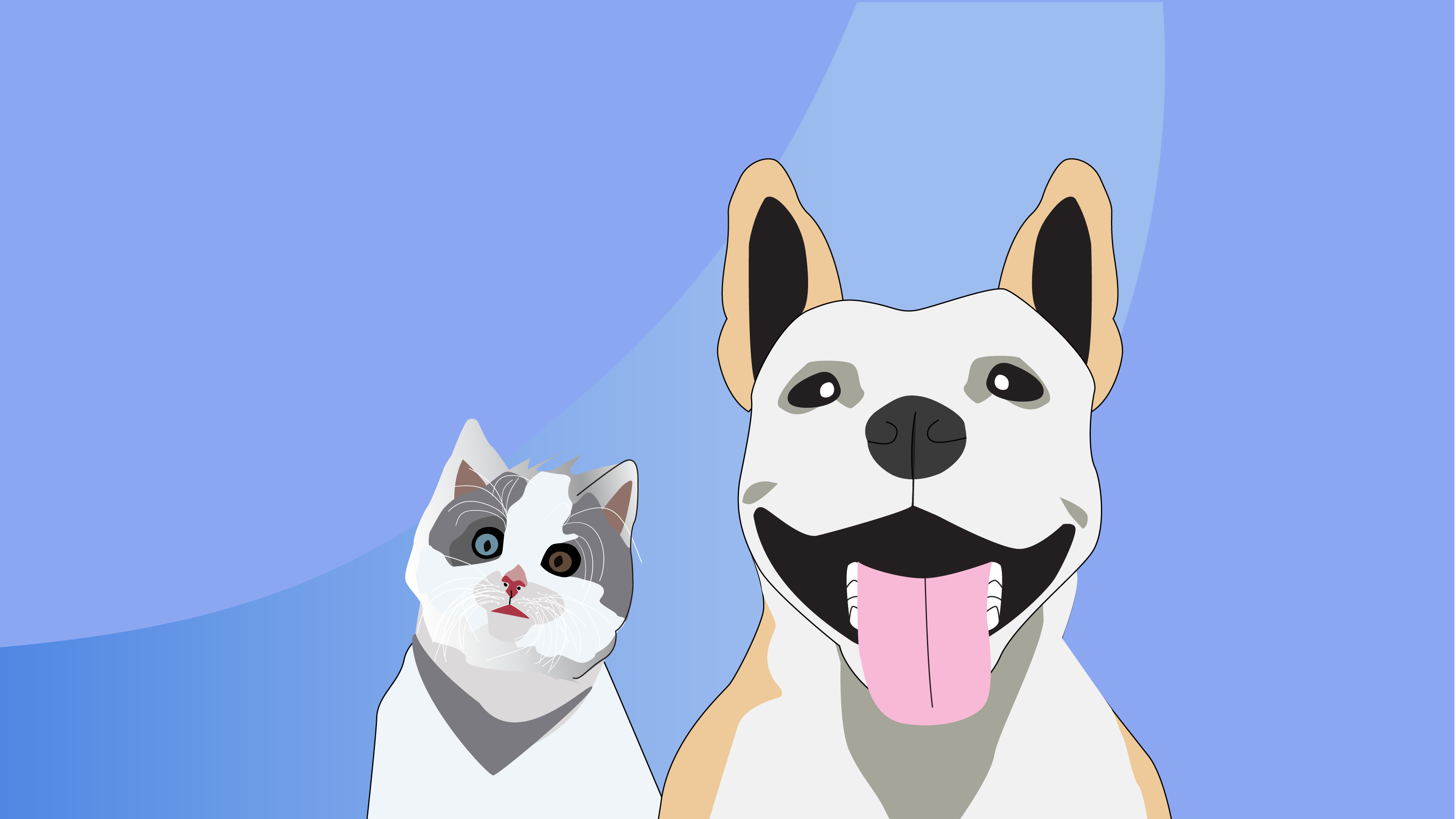 How to Start an Animal Rescue with No Money [Including Tips for Fundraising]