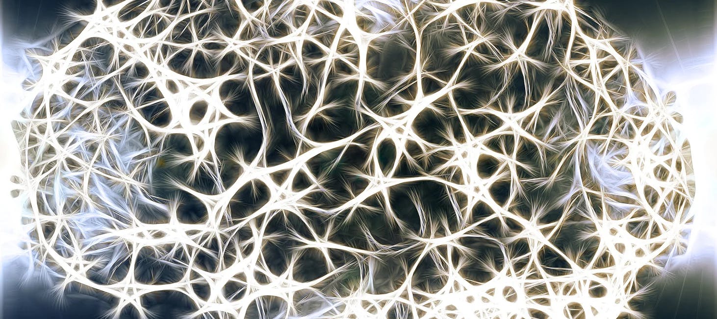 Brain synapses