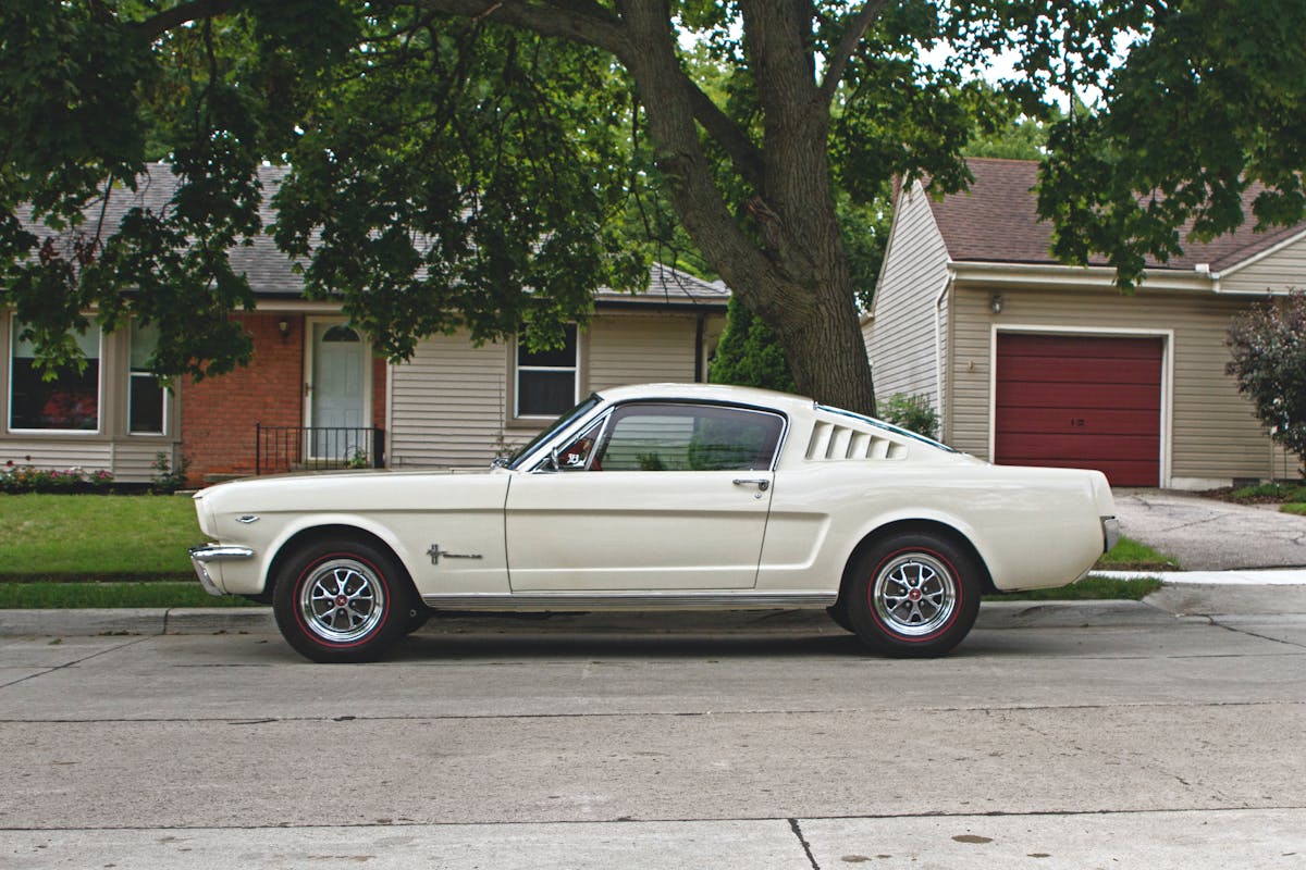 Mustang