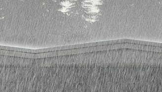 Roof with rain and trees in the background
