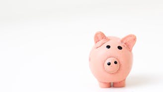 pink piggy bank with white background