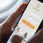 Image showing someone applying for Branch Insurance on their mobile phone.
