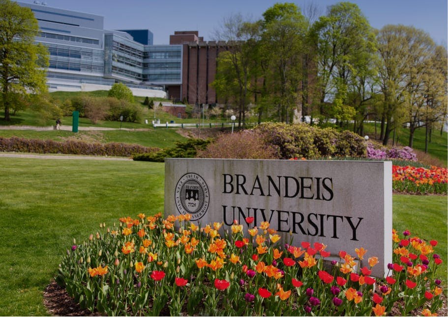 Brandeis University campus