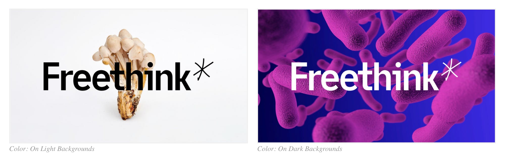 The other reason was more tactical: legibility. At small sizes, (think Apple News on mobile) nobody could read our name. What good is a brand impression if you can’t read it? So this was another focus throughout the process.
Was there any hesitation on the rebrand? Sure. I’d say a healthy amount from a few folks in the company. But overall, people trusted us just like we trust them to do what they do.