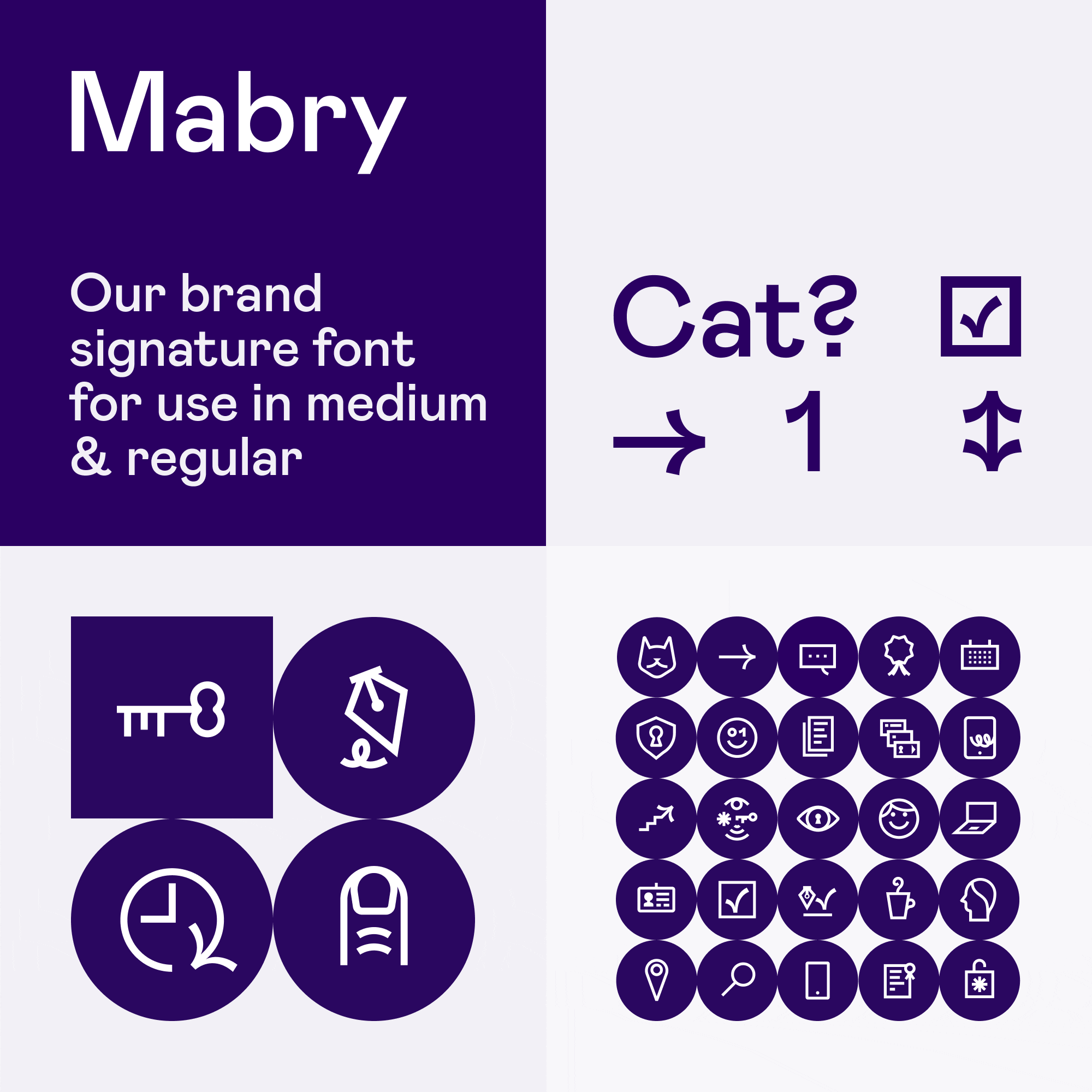 Signicat font guidelines