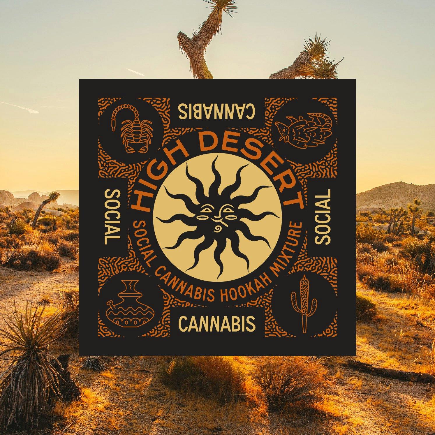High Desert's Mojave vibe on full display.