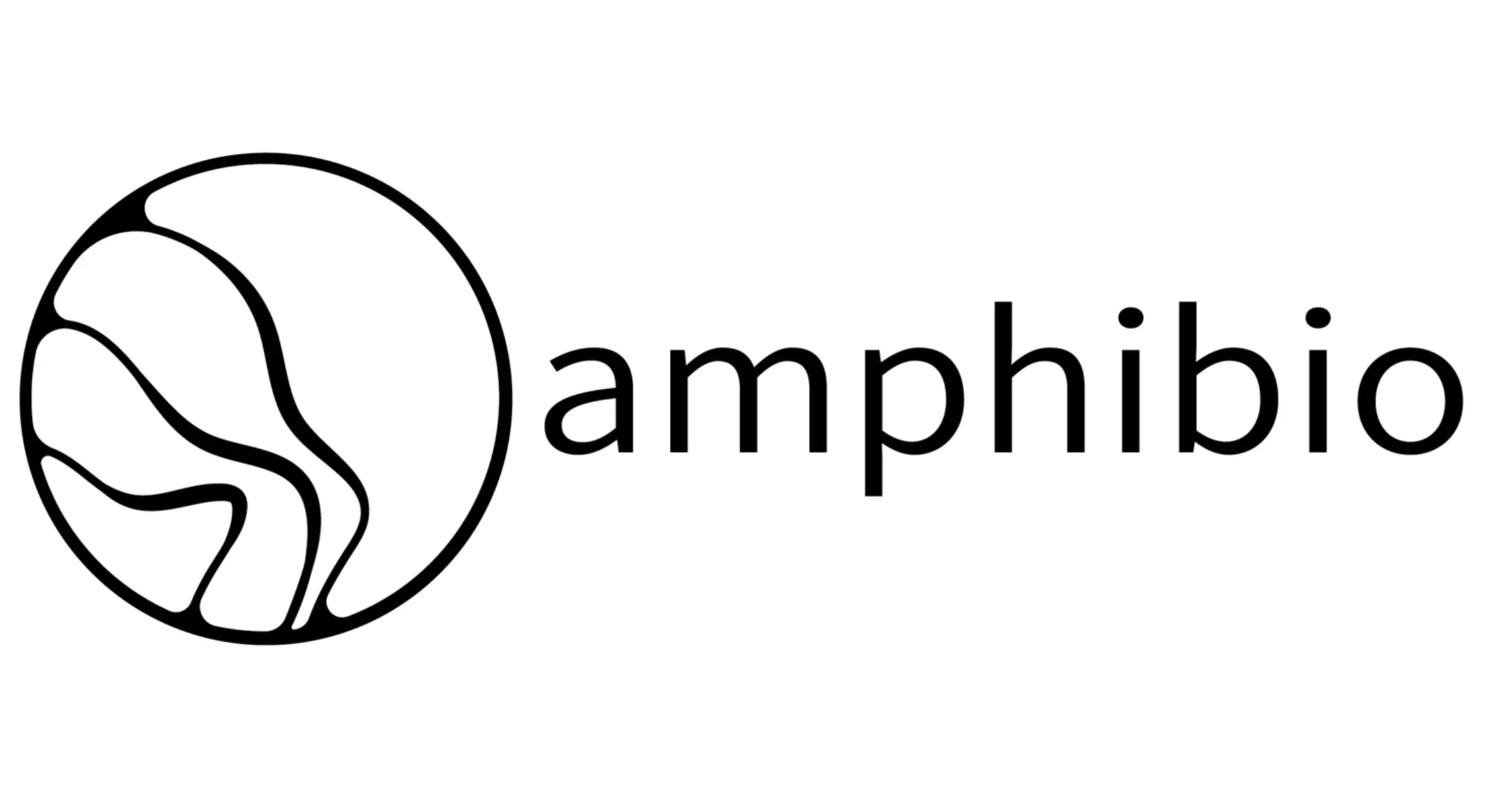Amphico Old Logo