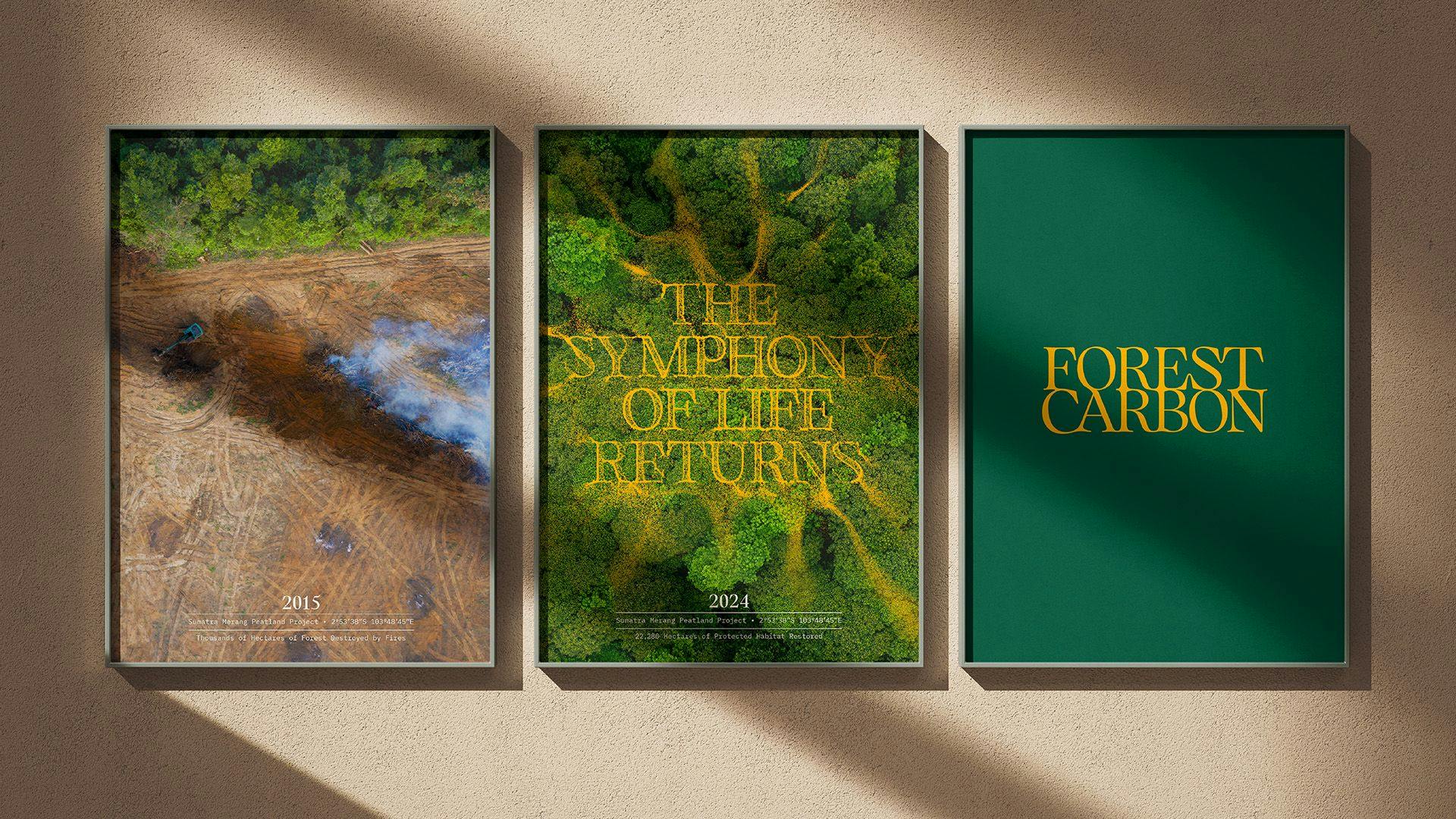 Image courtesy by Forest Carbon