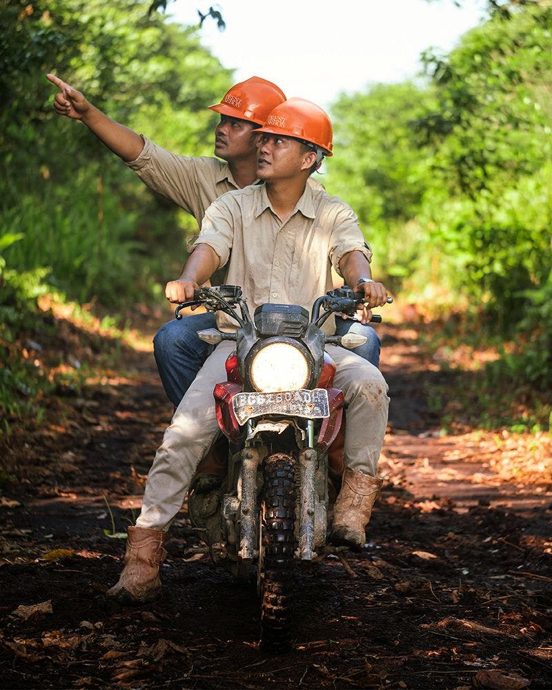 Image courtesy by Forest Carbon
