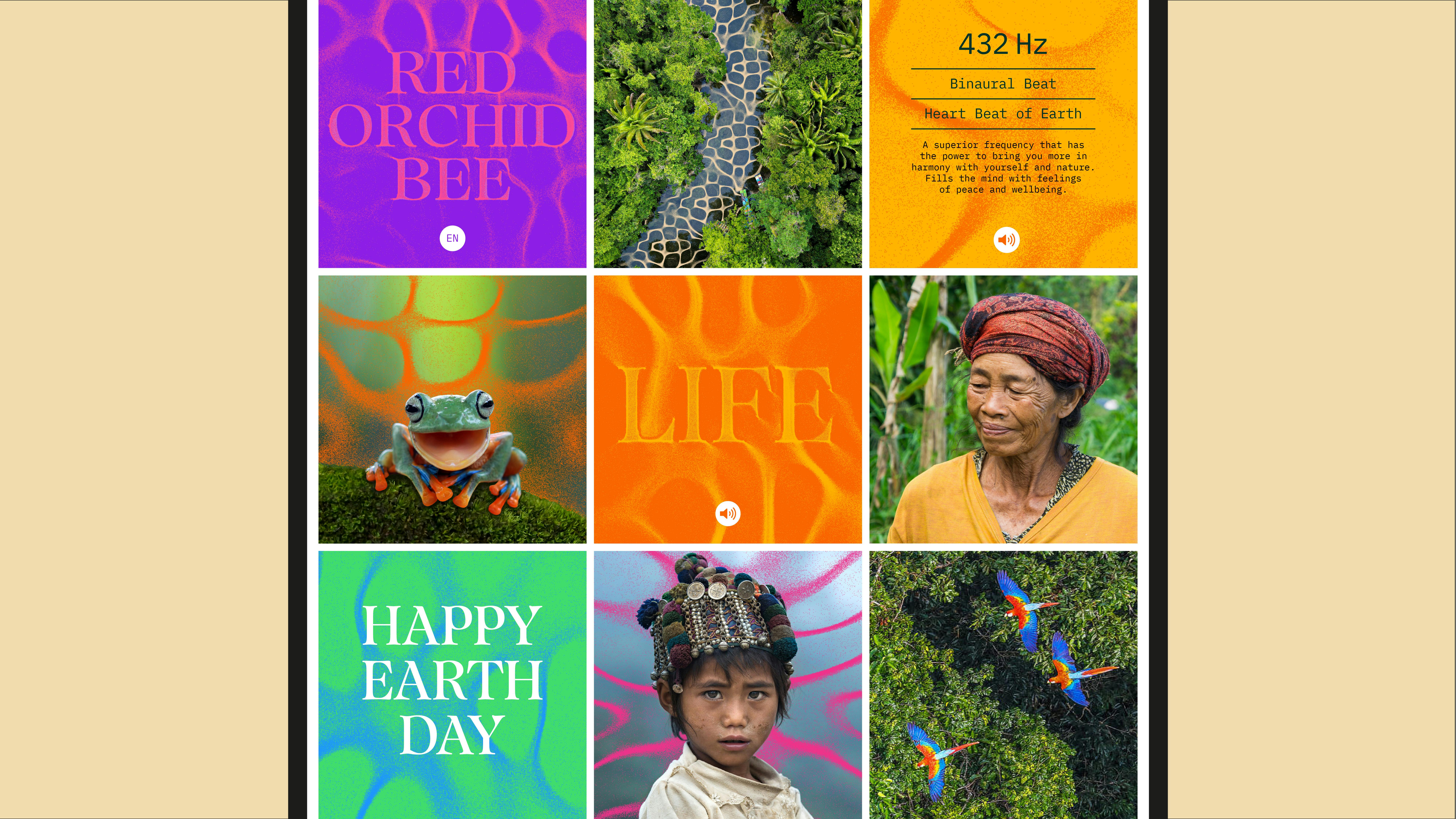 Image courtesy by Forest Carbon