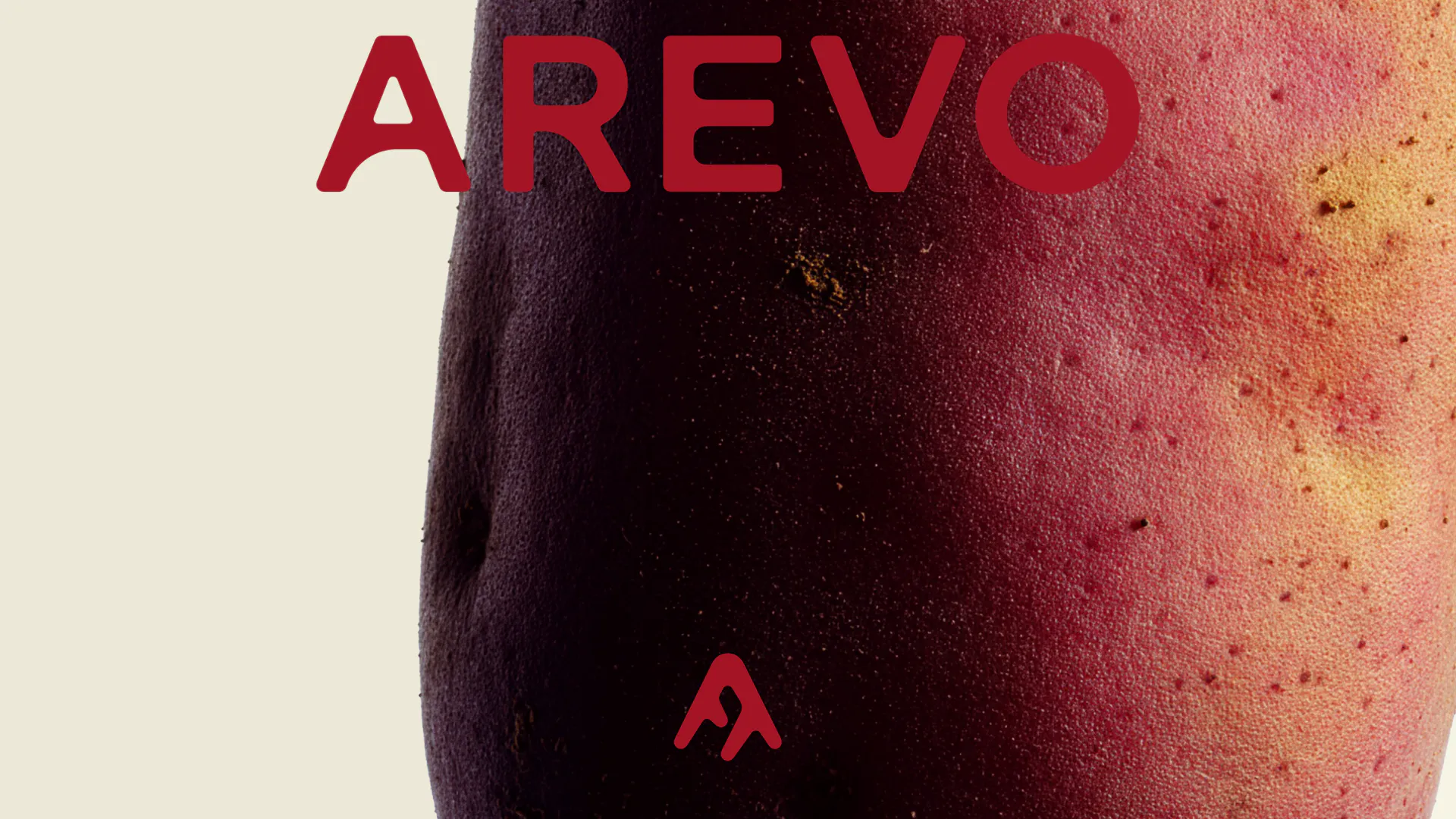 Image courtesy by Arevo