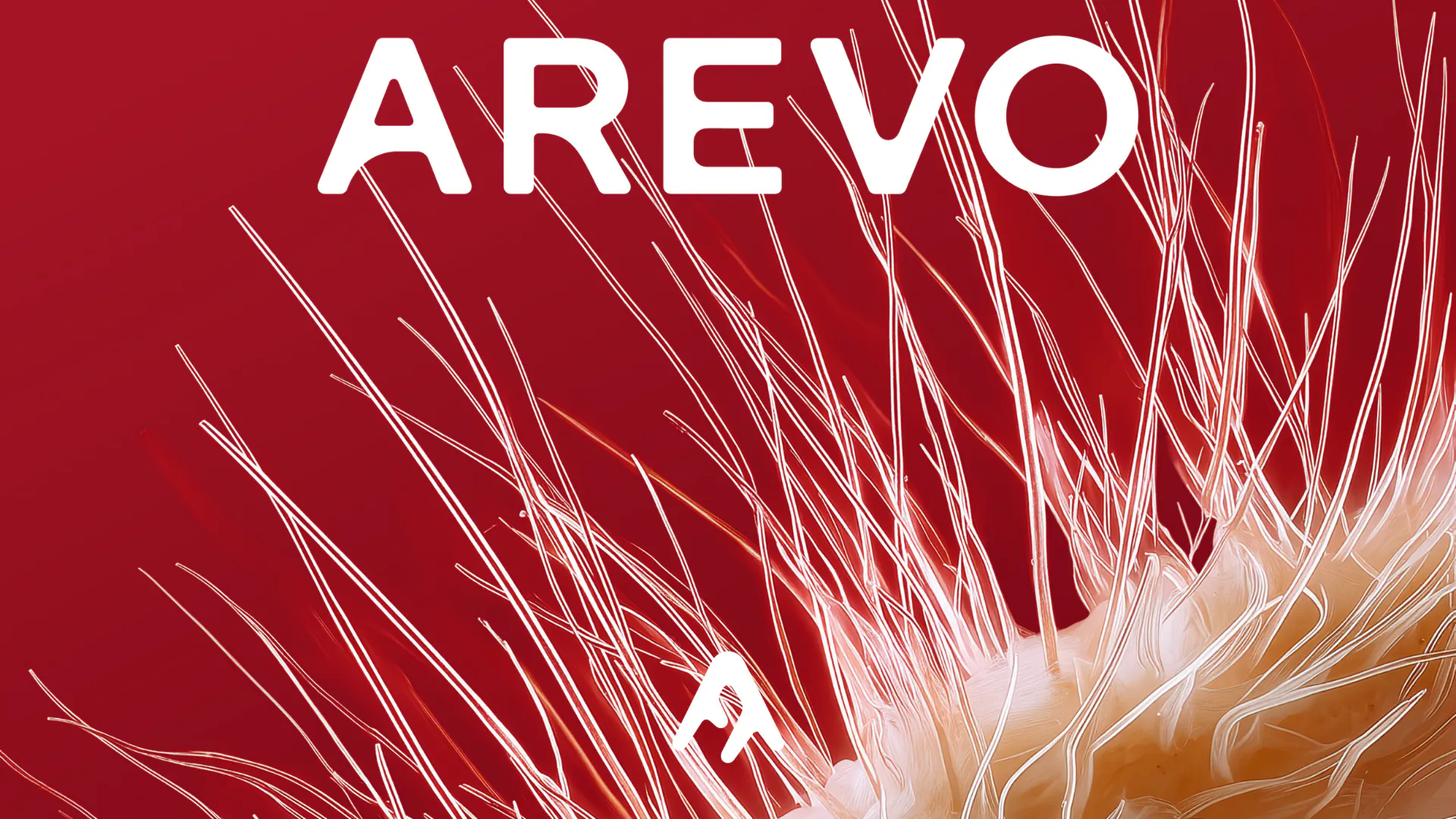 Image courtesy by Arevo