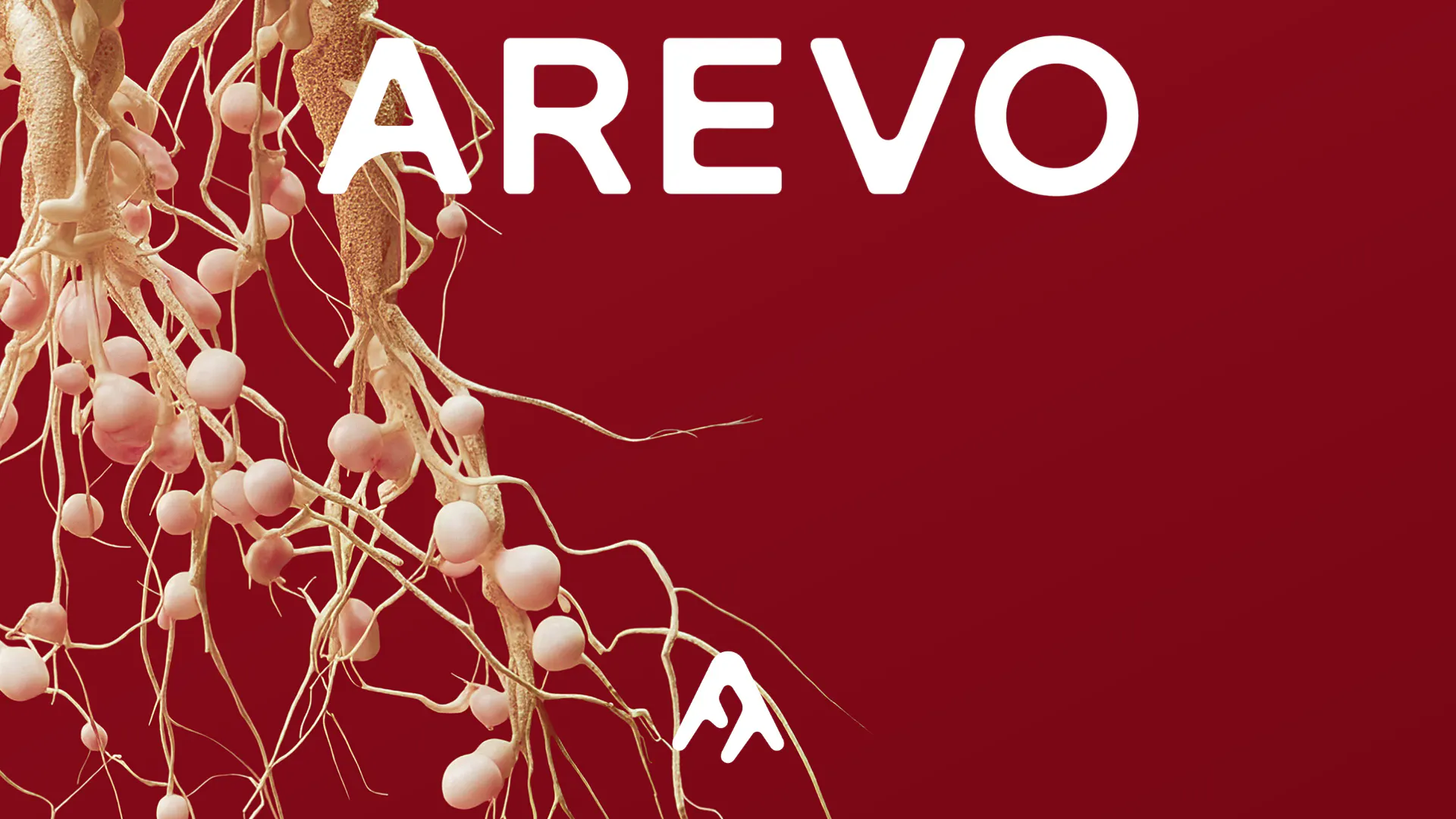 Image courtesy by Arevo