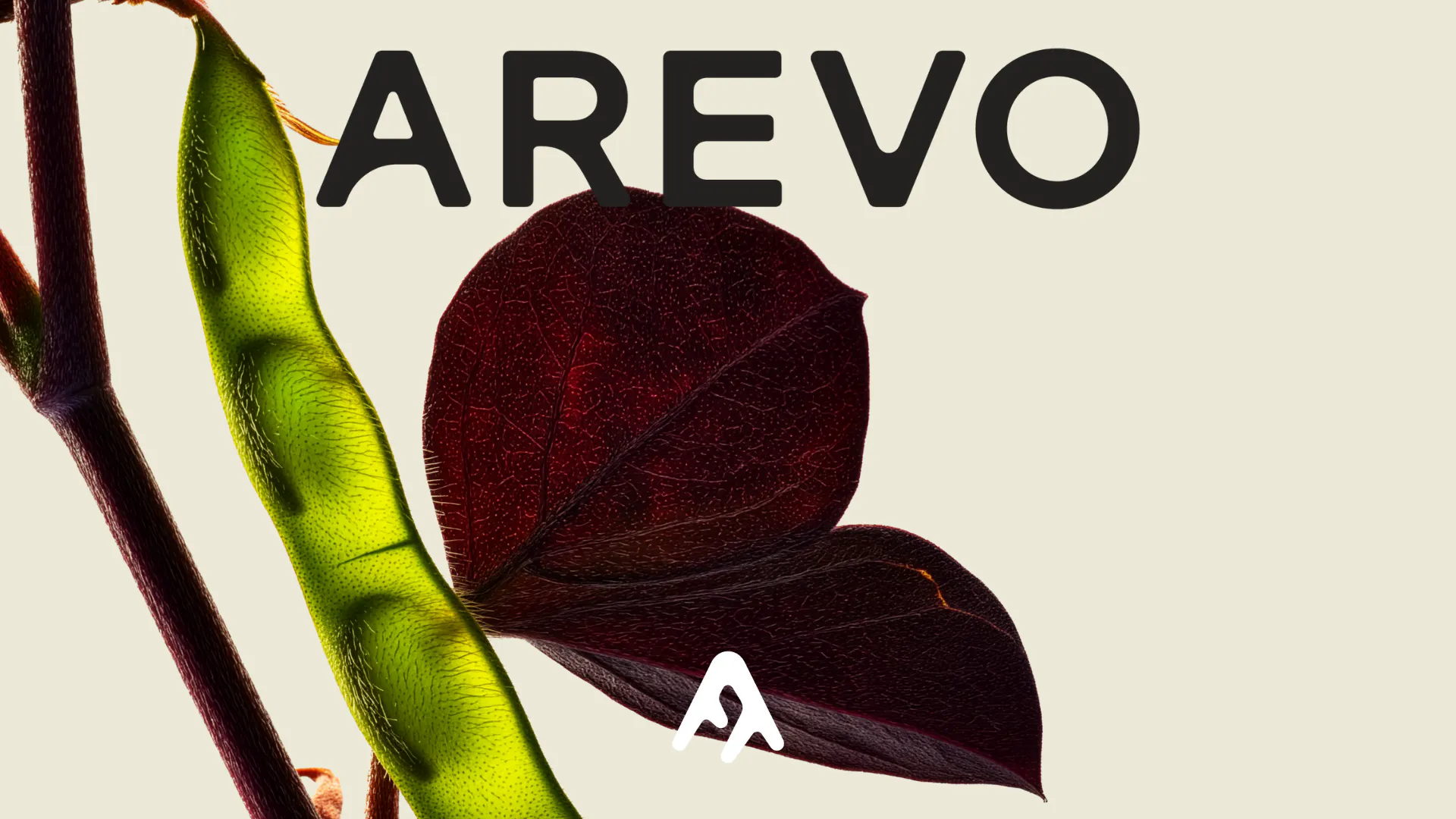 Image courtesy by Arevo