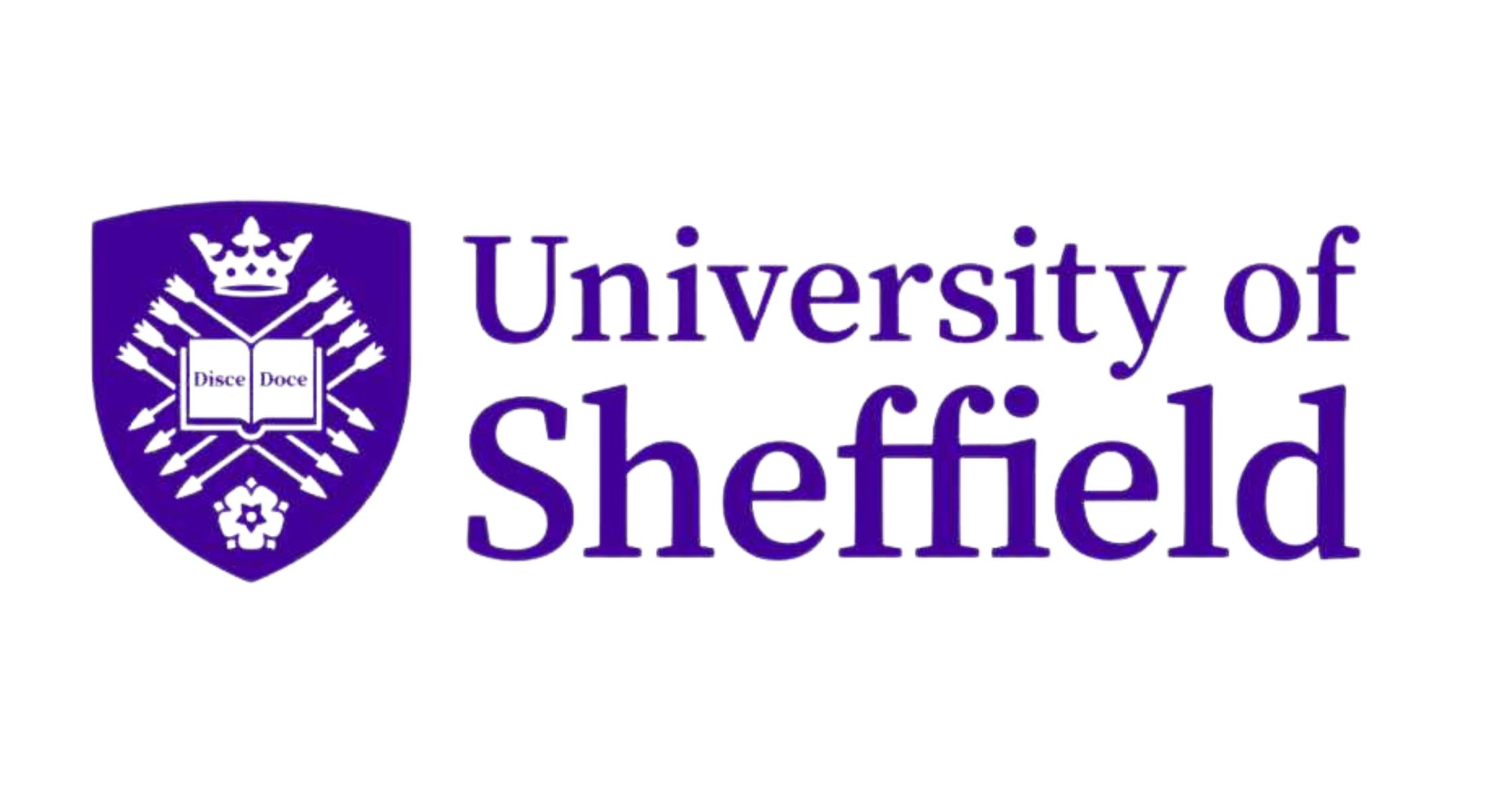 The University of Sheffield rebrands to uphold modern standards