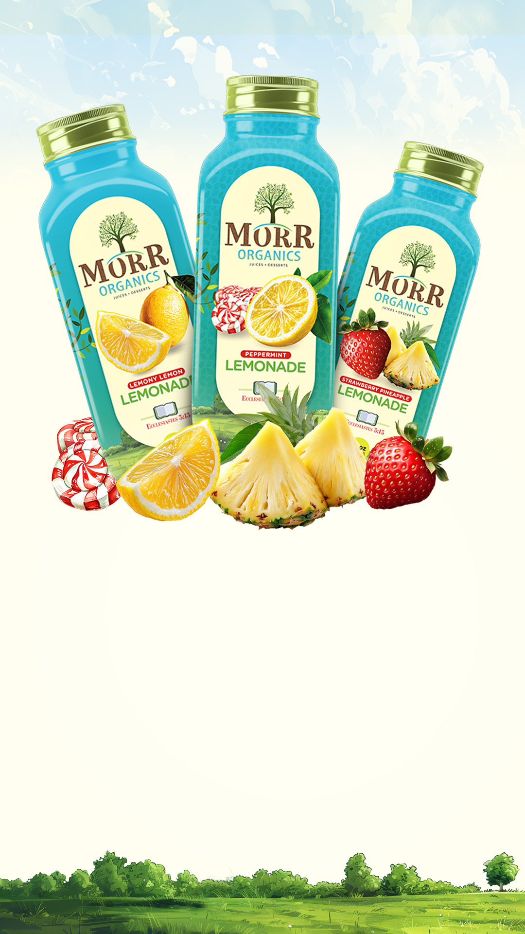 Morora Brandvault360 | Portfolio - Packaging Design